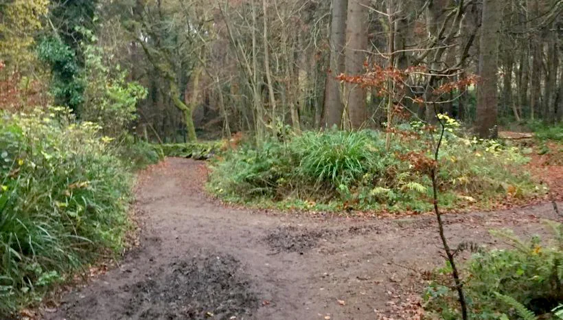 Commit to Yoga this Autumn