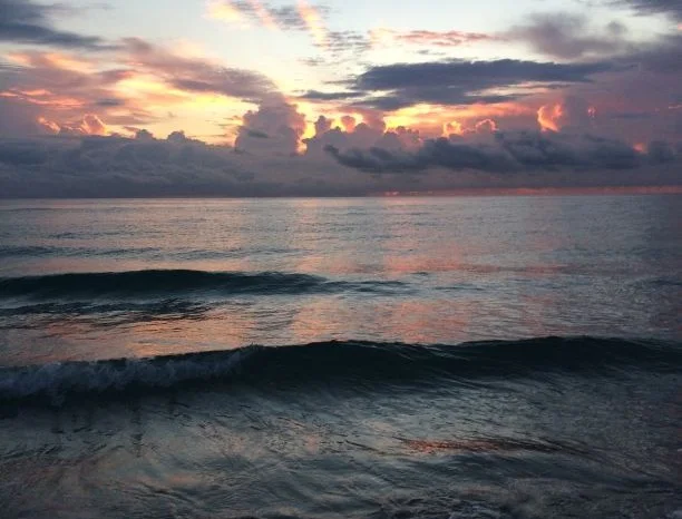 My Adventures at the Yoga Journal Conference in Florida, November 2015