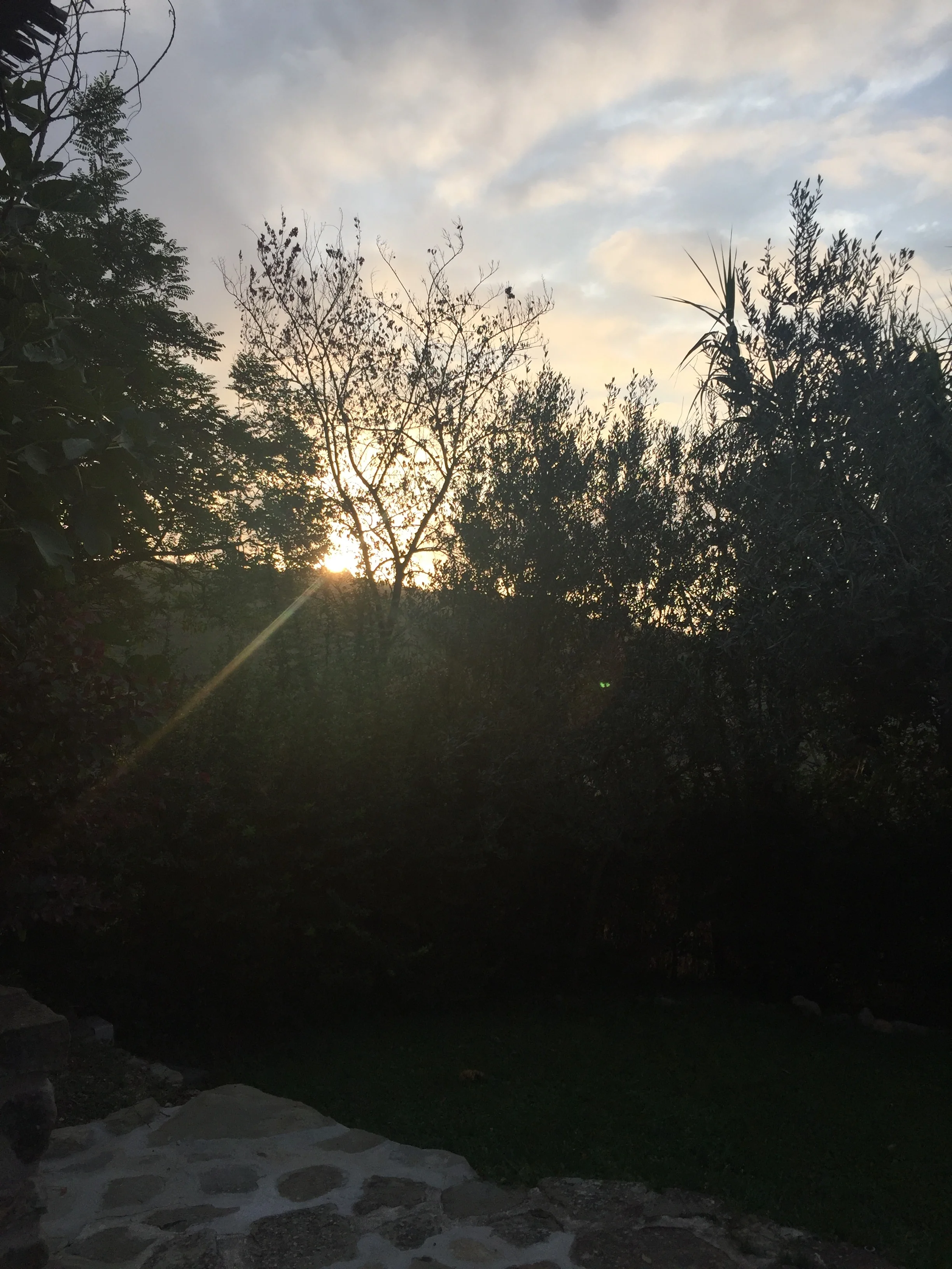 A gentler approach: a little more instinctive. 