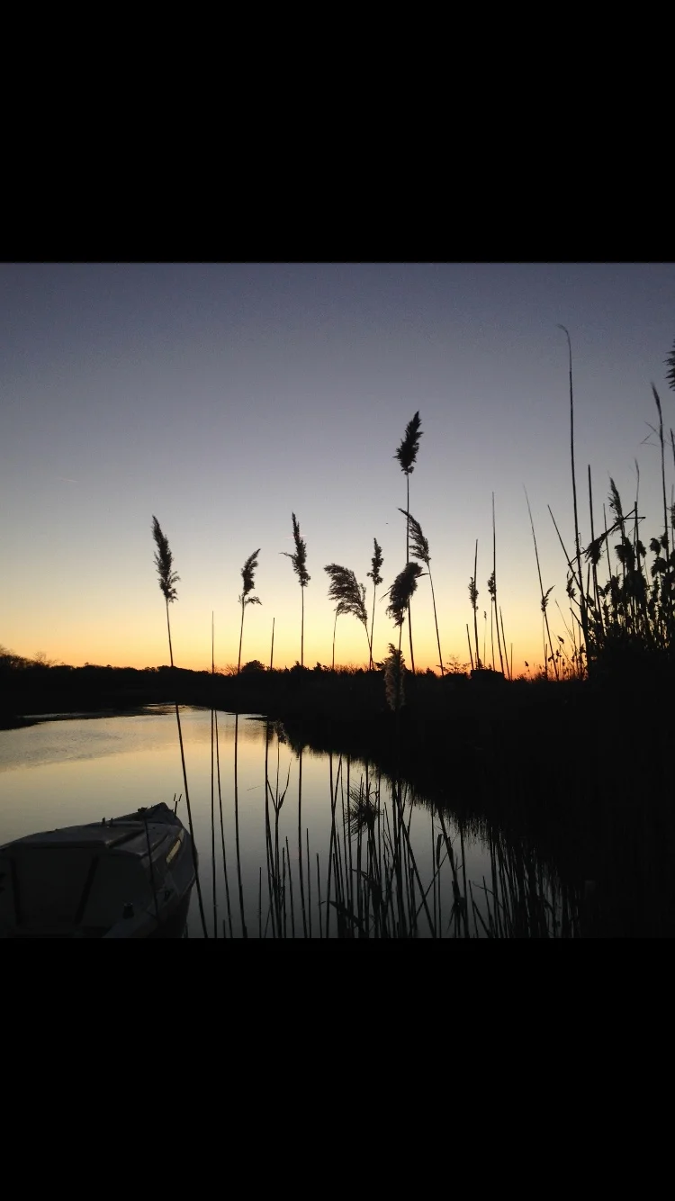 When your mind is like a forest full of endless chattering monkeys.