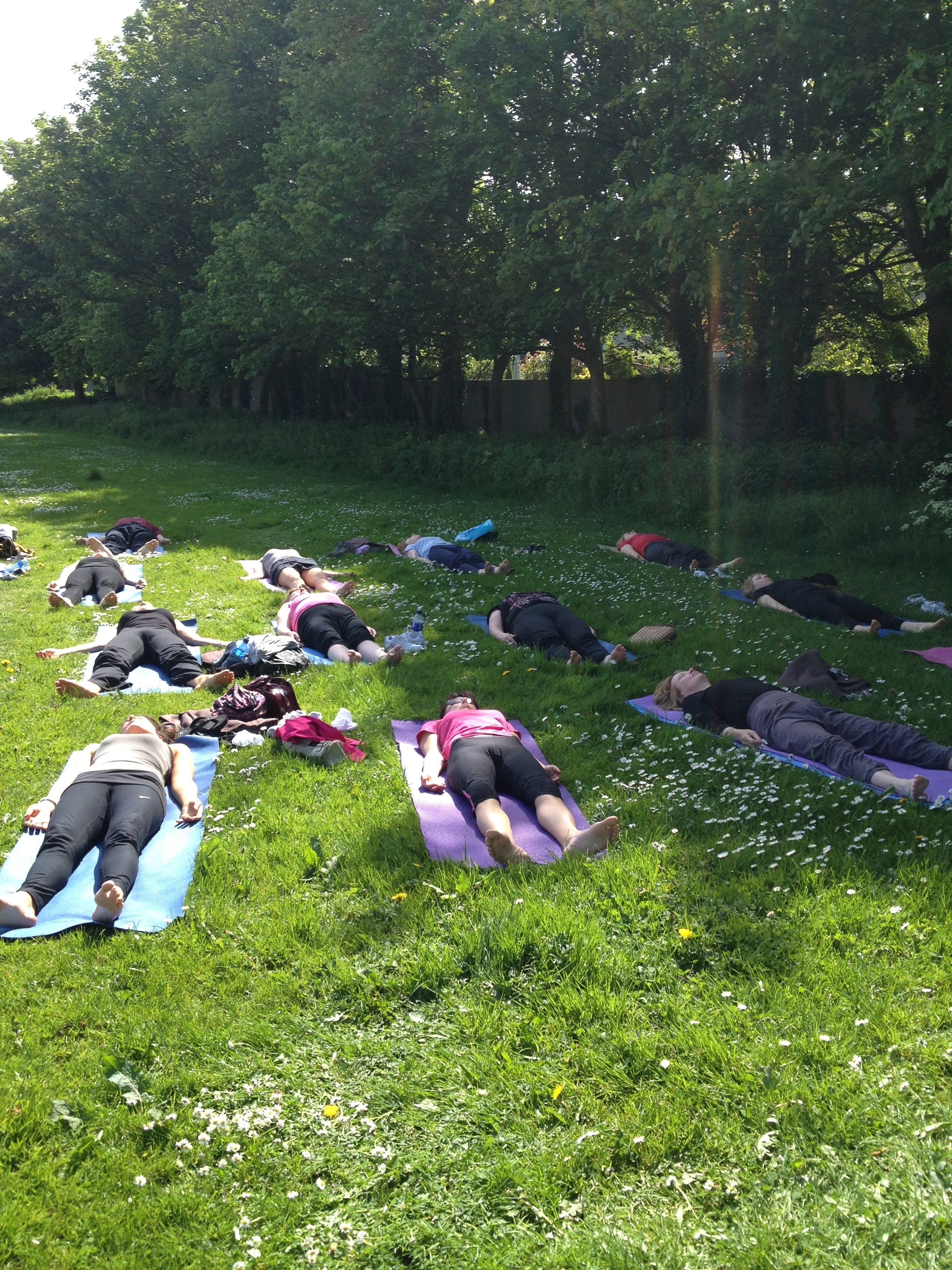 Outdoor Yoga in Marlay Park Wednesday mornings July and August! 