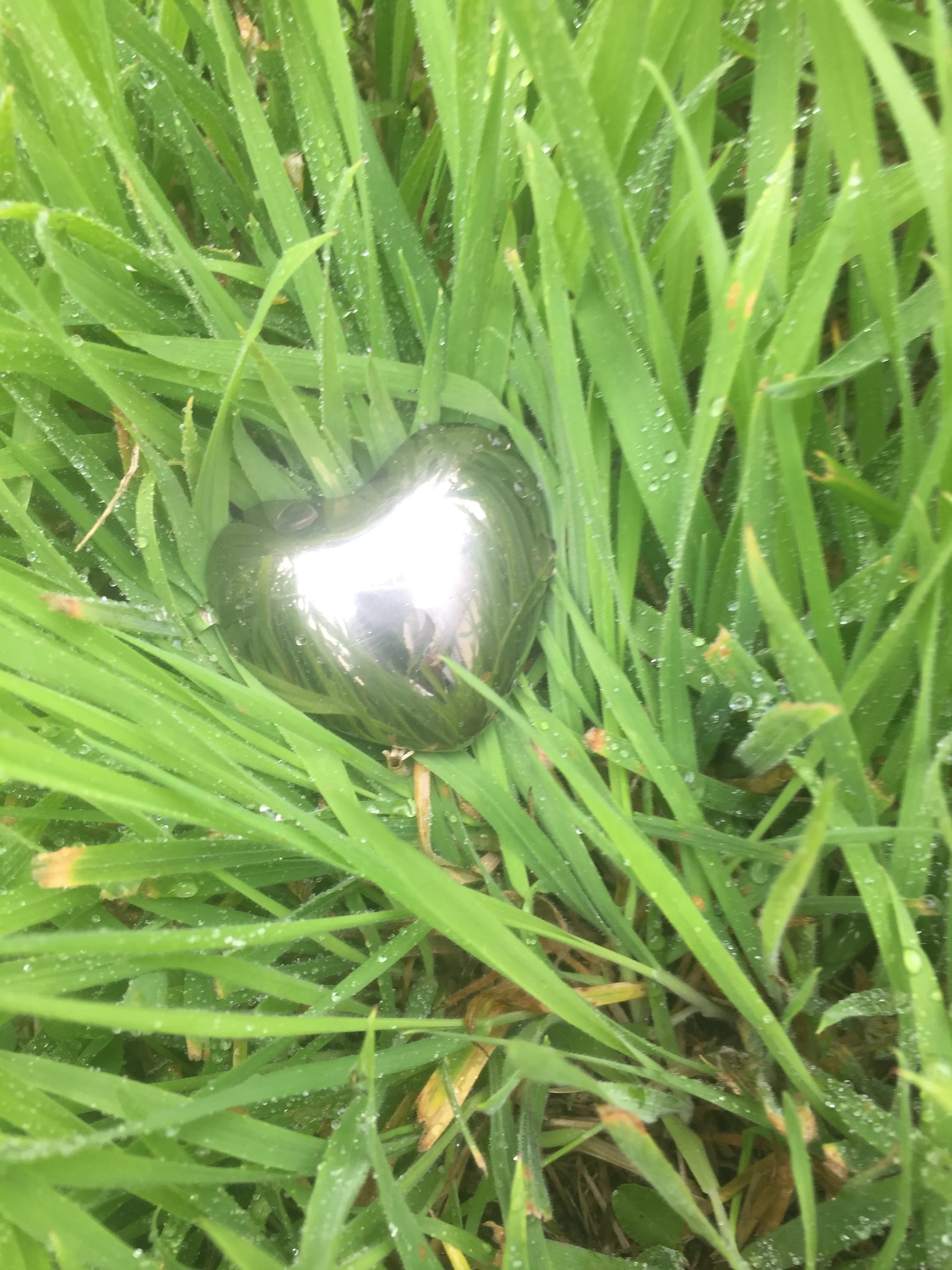 You have everything you could possibly need. 