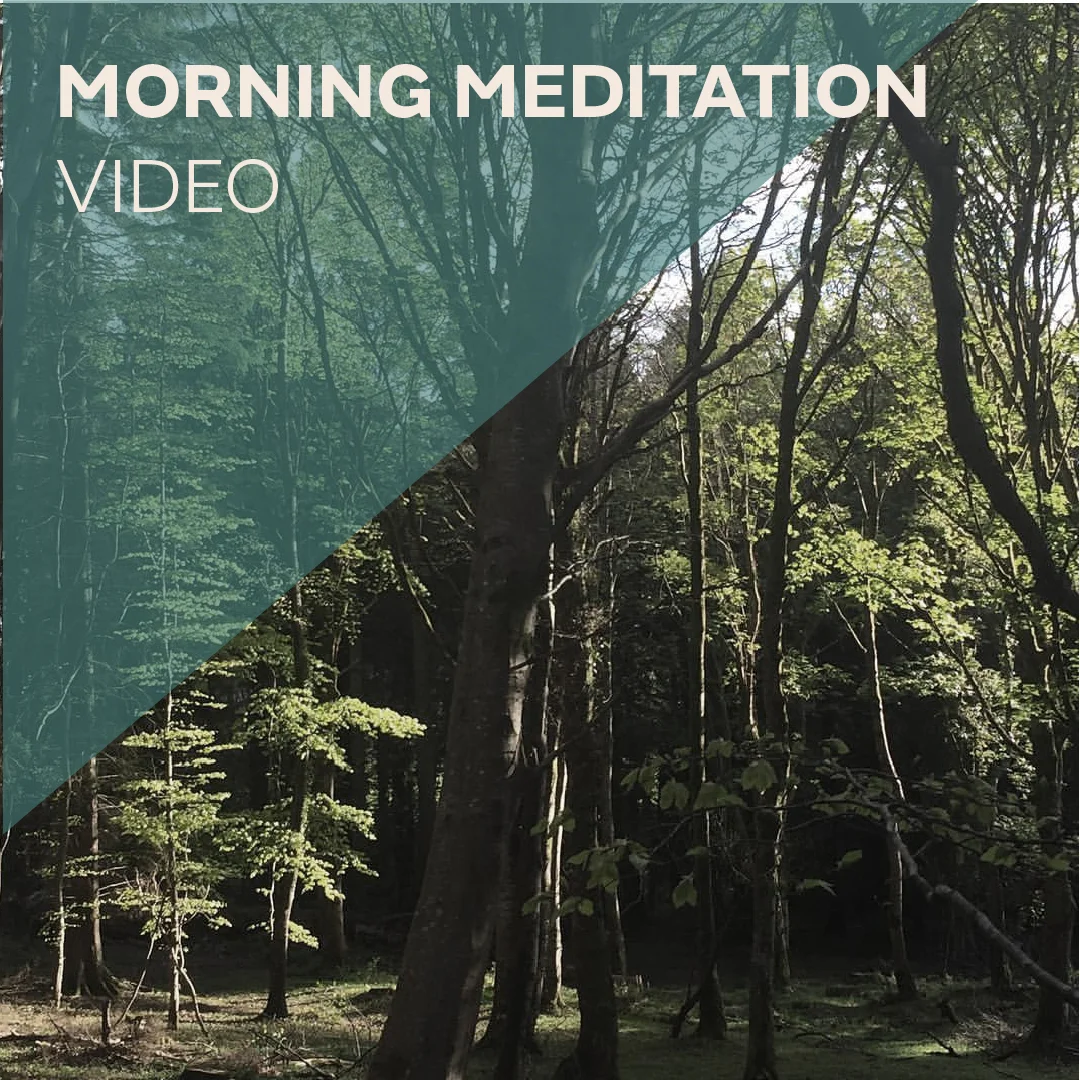 Mindful meditation suitable for the mornings to start your day refreshed and focused.