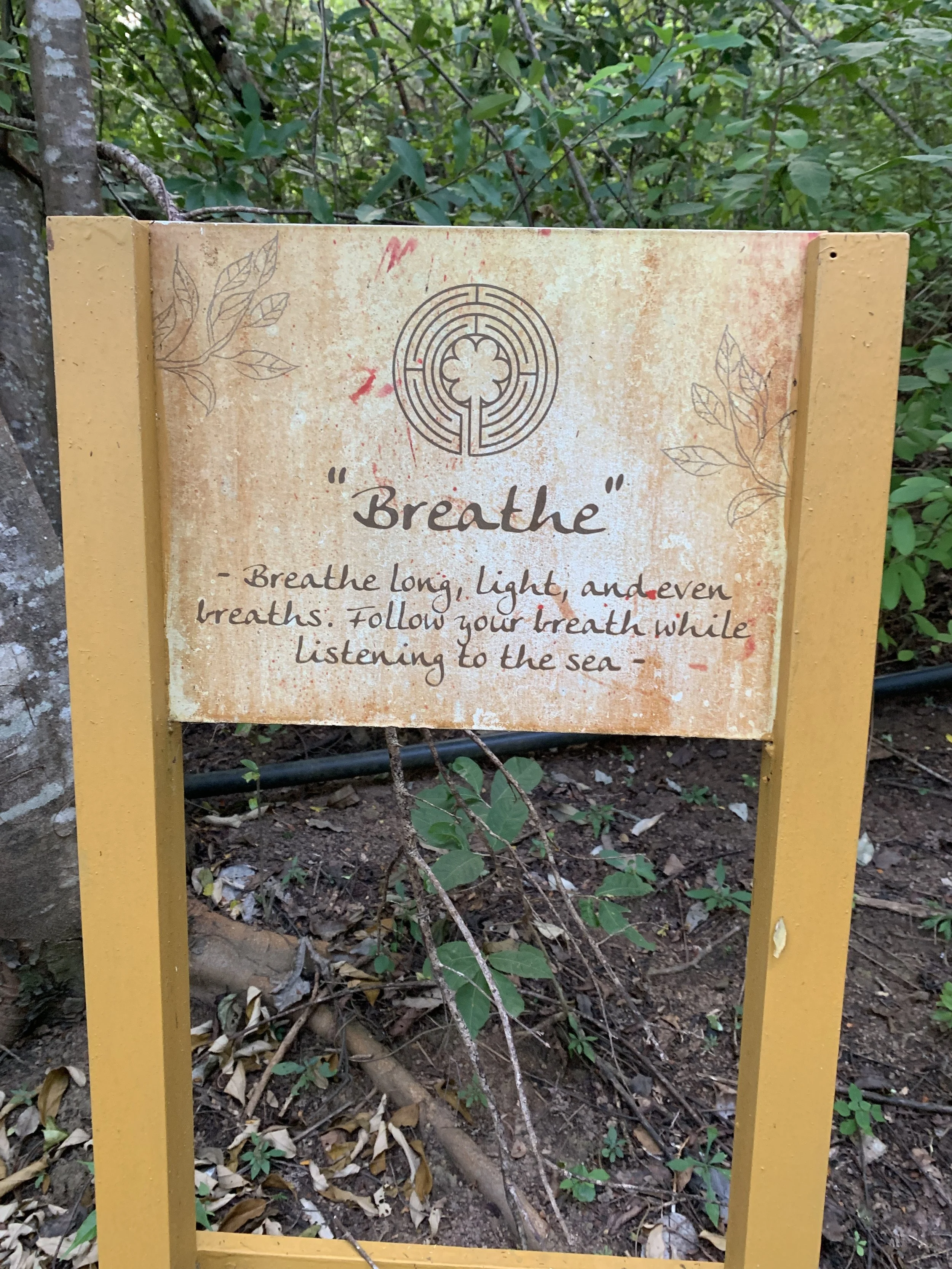 Alternate Nostril Breathing (Nadi Shodhanam)