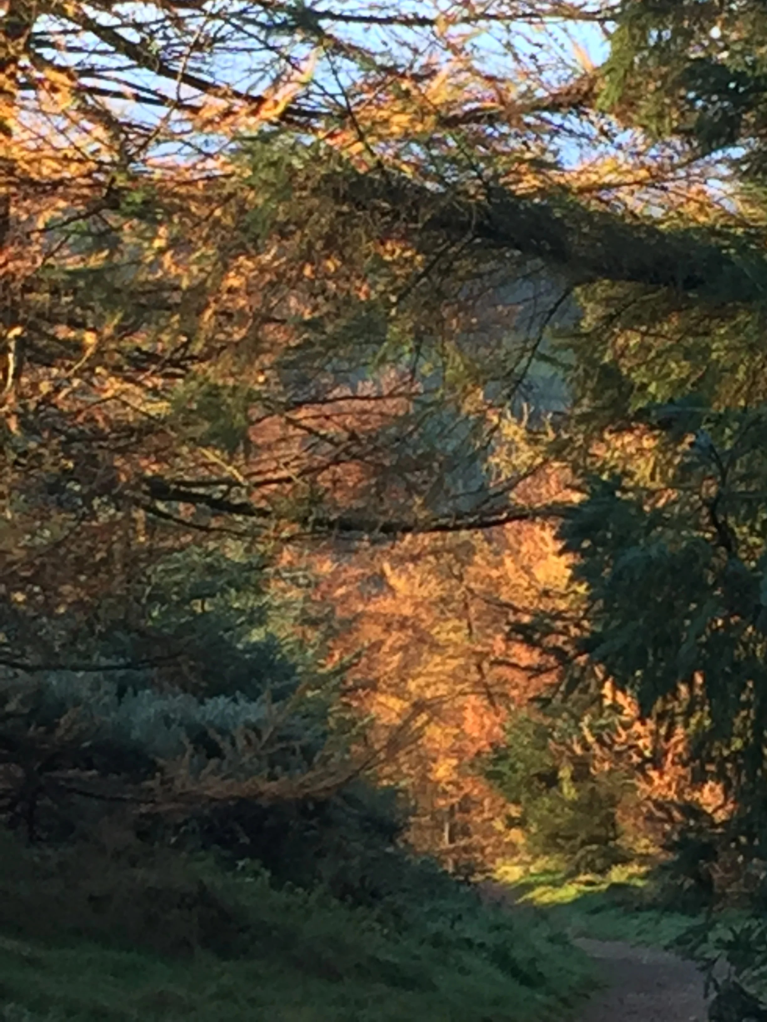 You have to try harder than you think you should have to. 