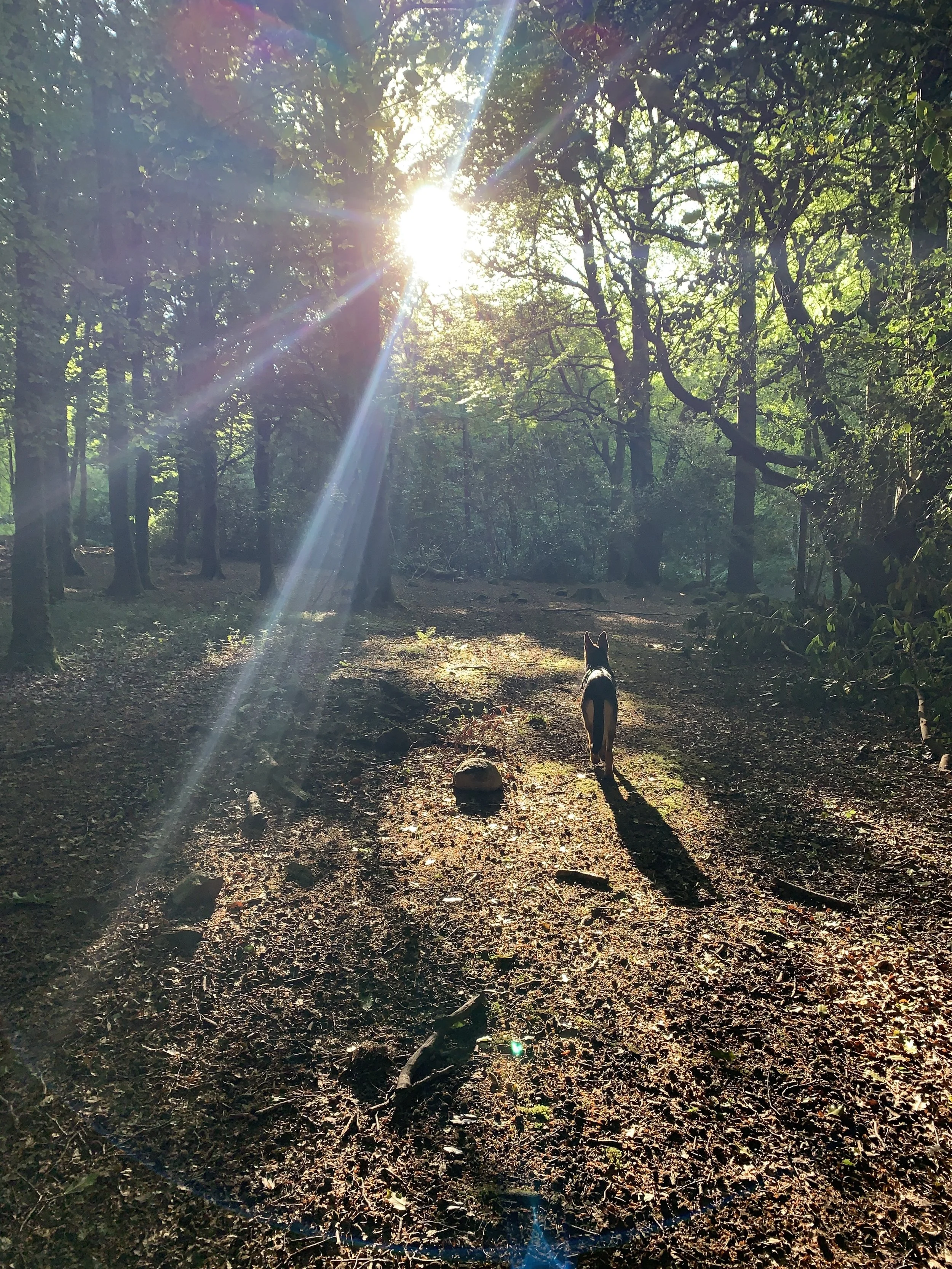Let’s not call it Meditation any more.&nbsp;