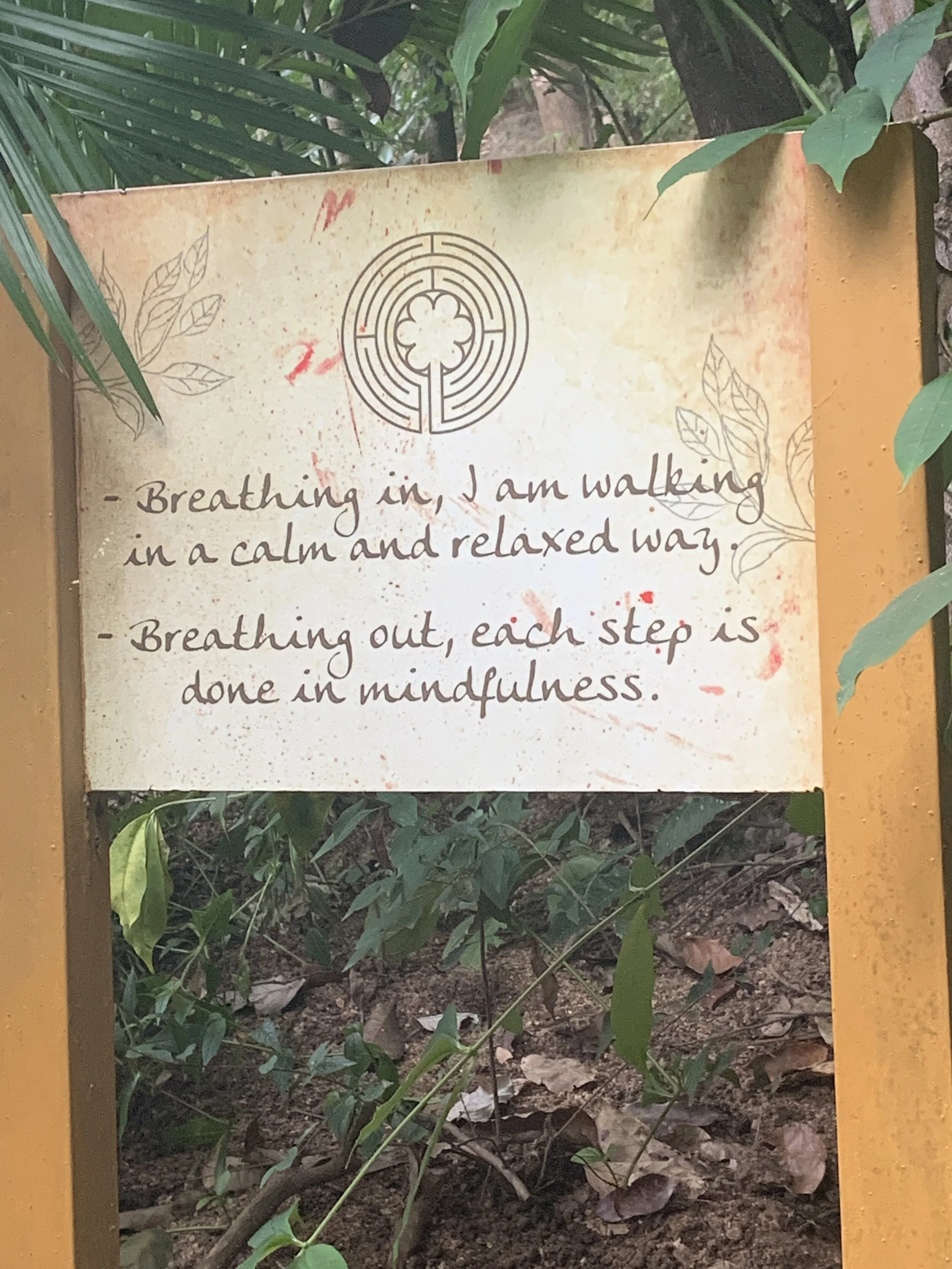 Breath work to calm and ground down. 