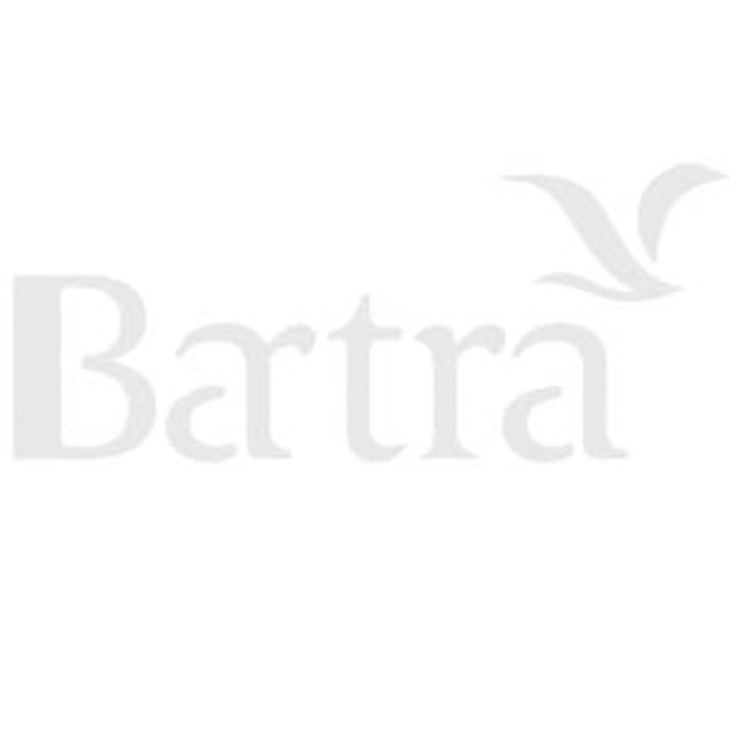 Our Corporate Client - Bartra Capital Management Dublin - SylviaYoga.com.jpg