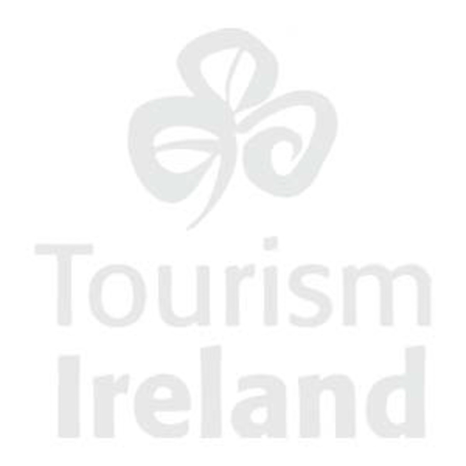 Our Corporate Client - Tourism Ireland - SylviaYoga.com.jpg