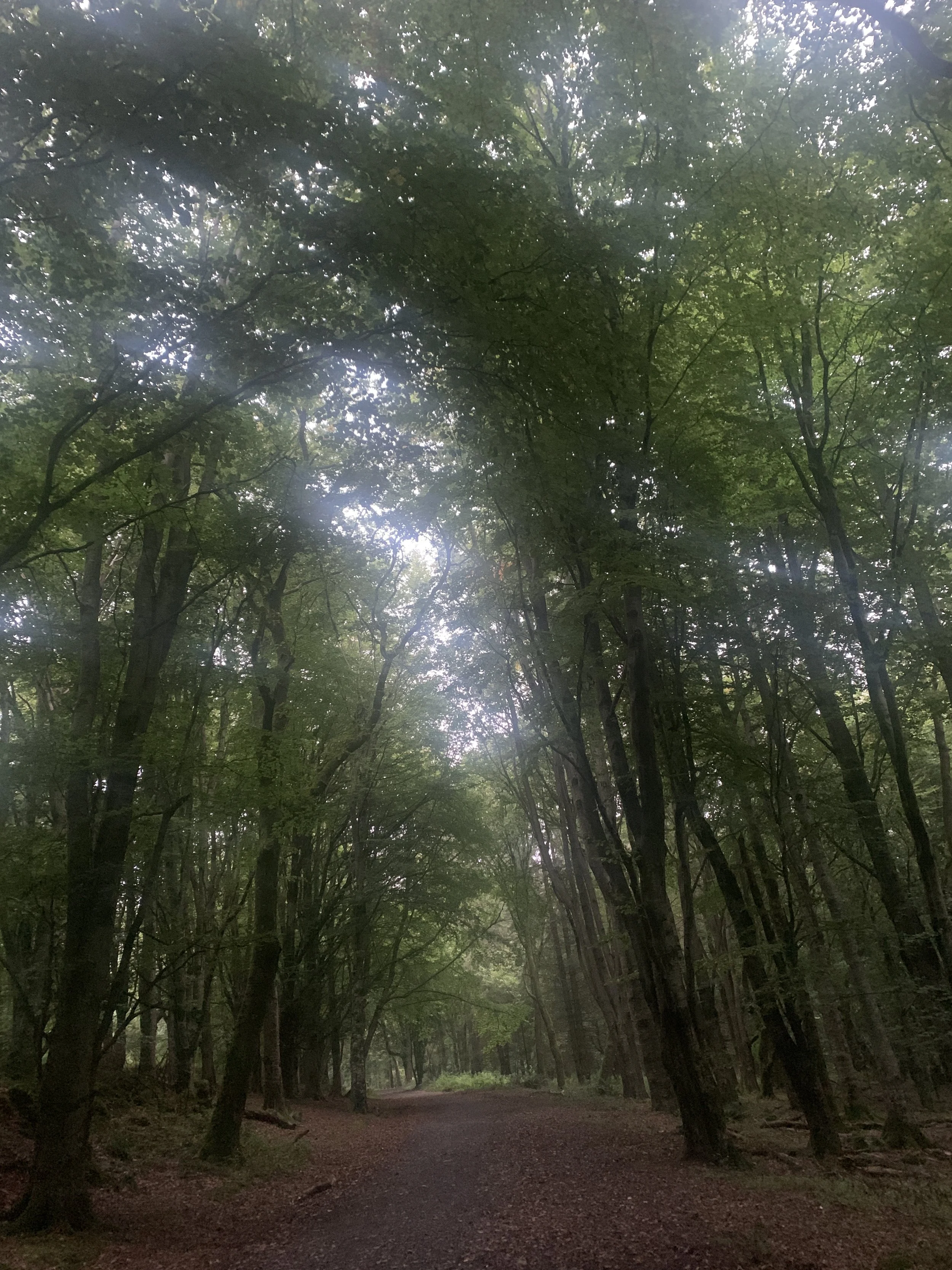 Do you need a breathing space? 