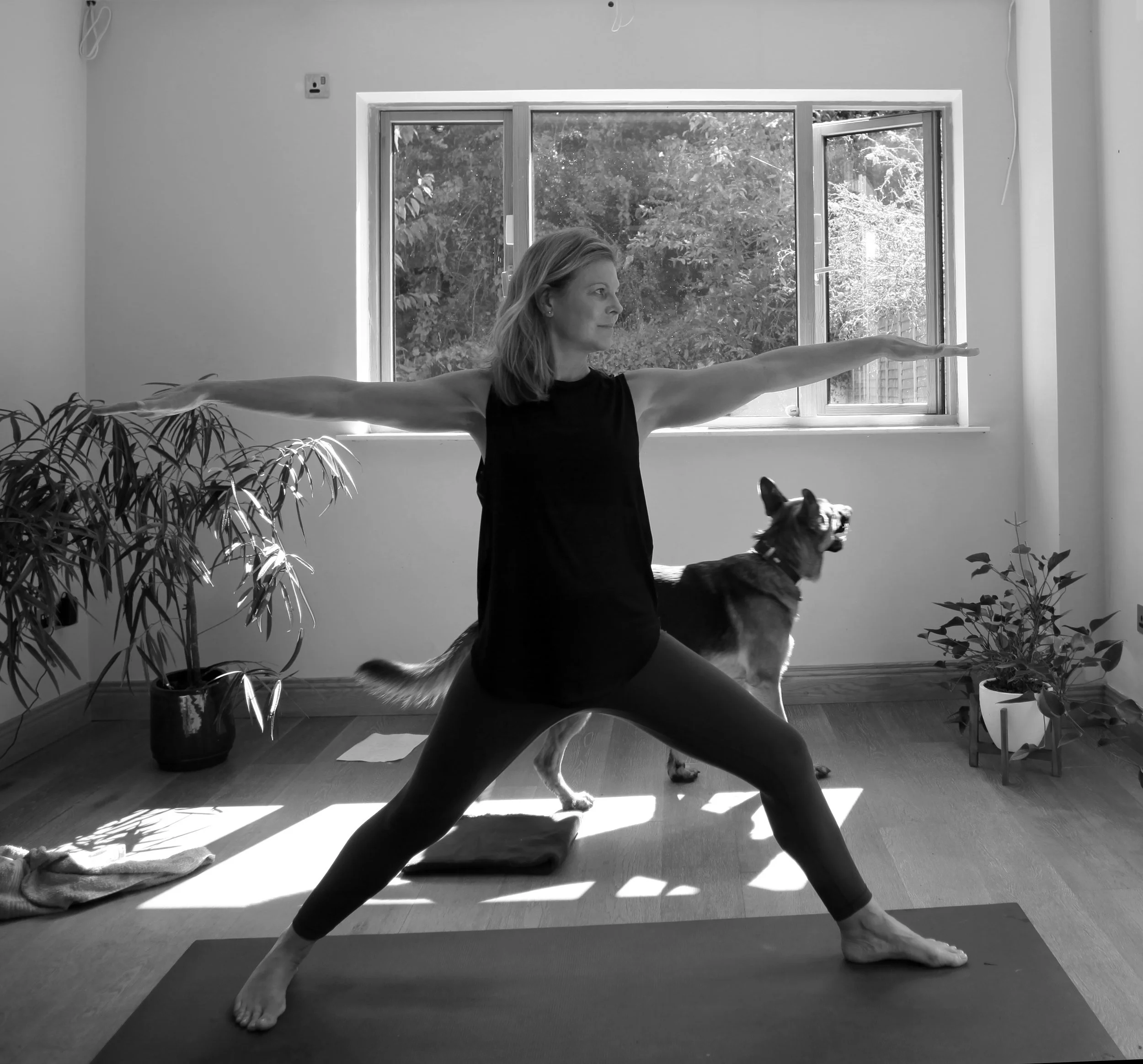 What's new, what's different? 