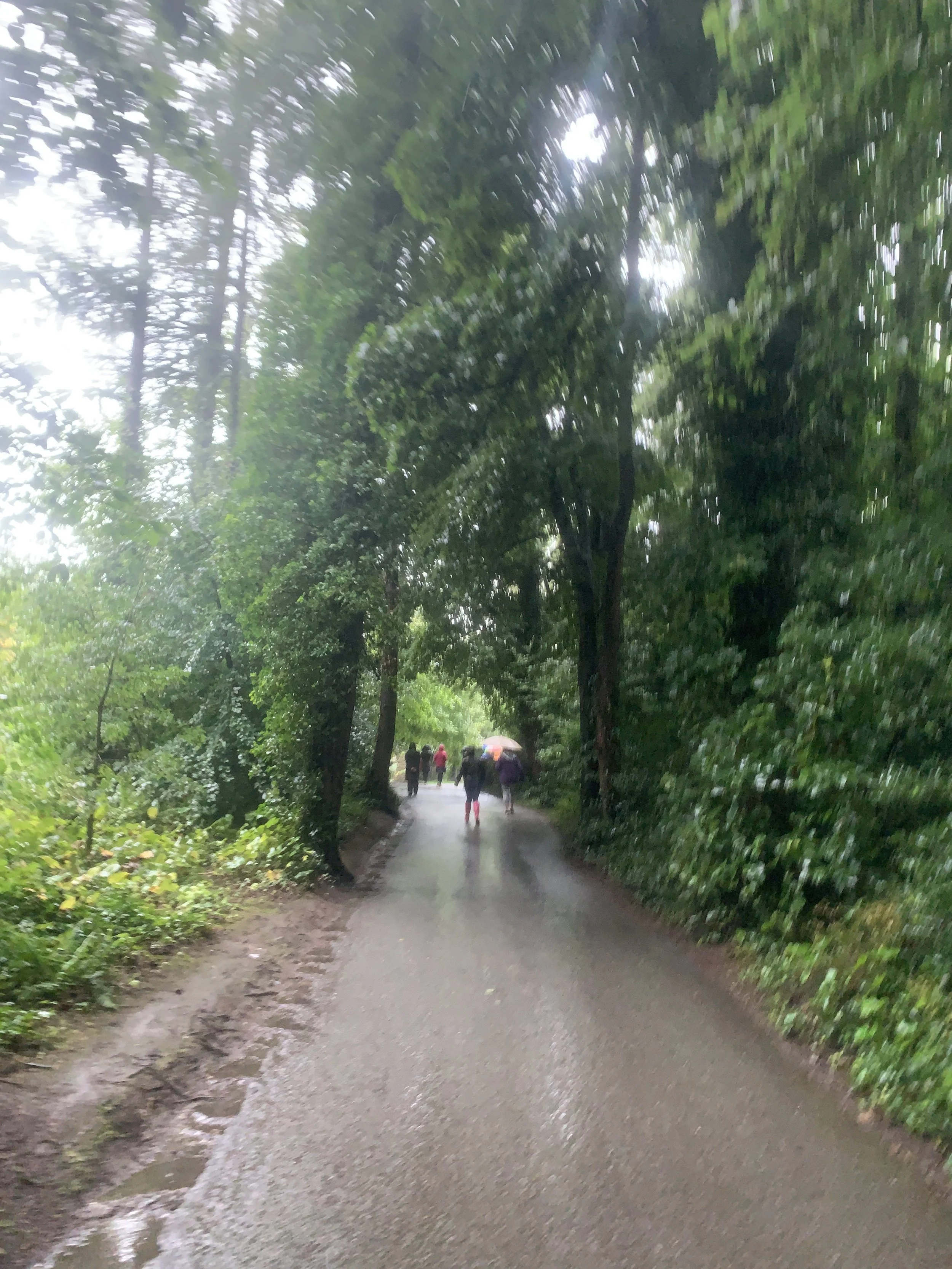 Instructions for Mindful Walking