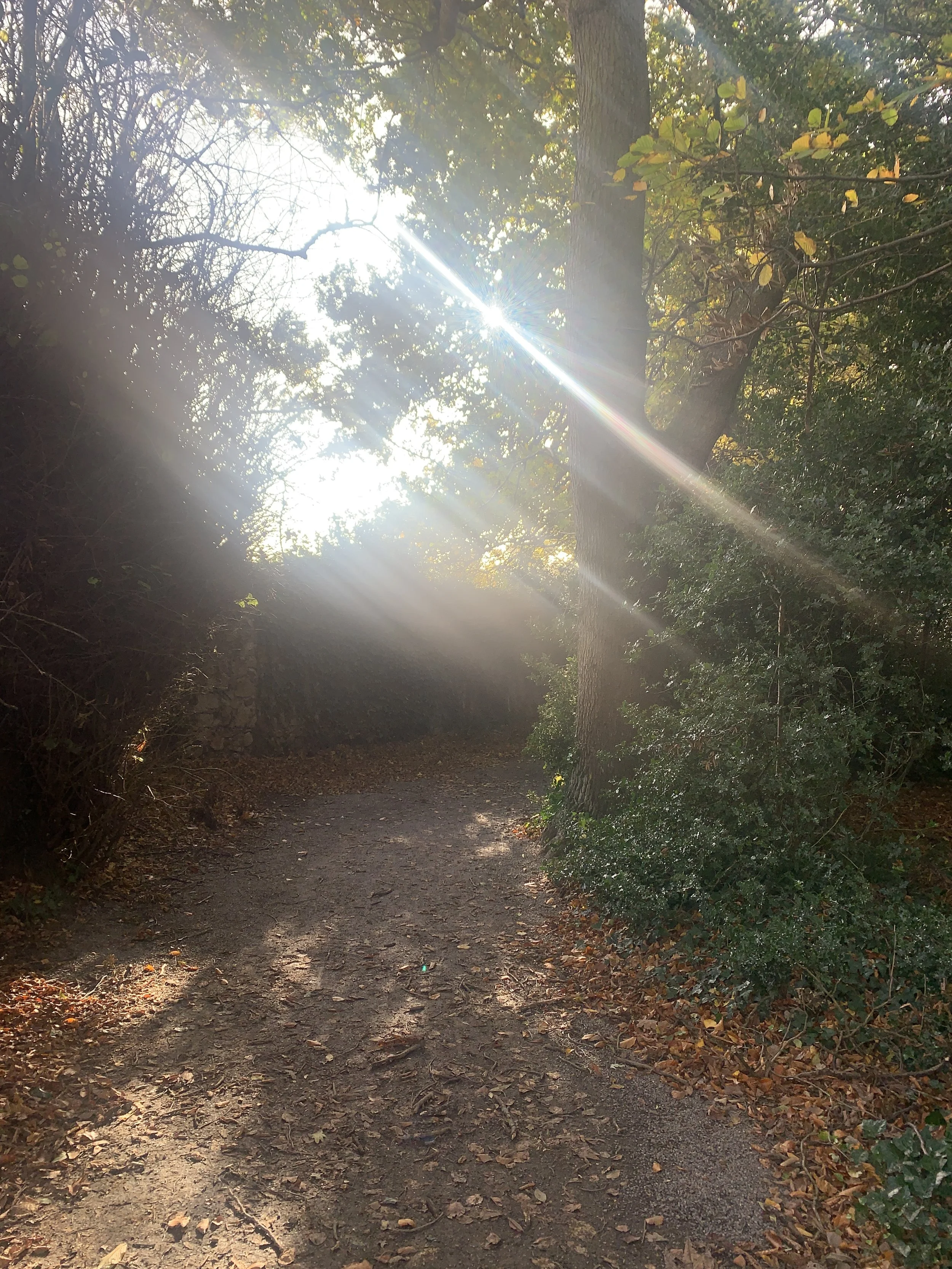 Awakening curiosity: raindrops on your skin. 