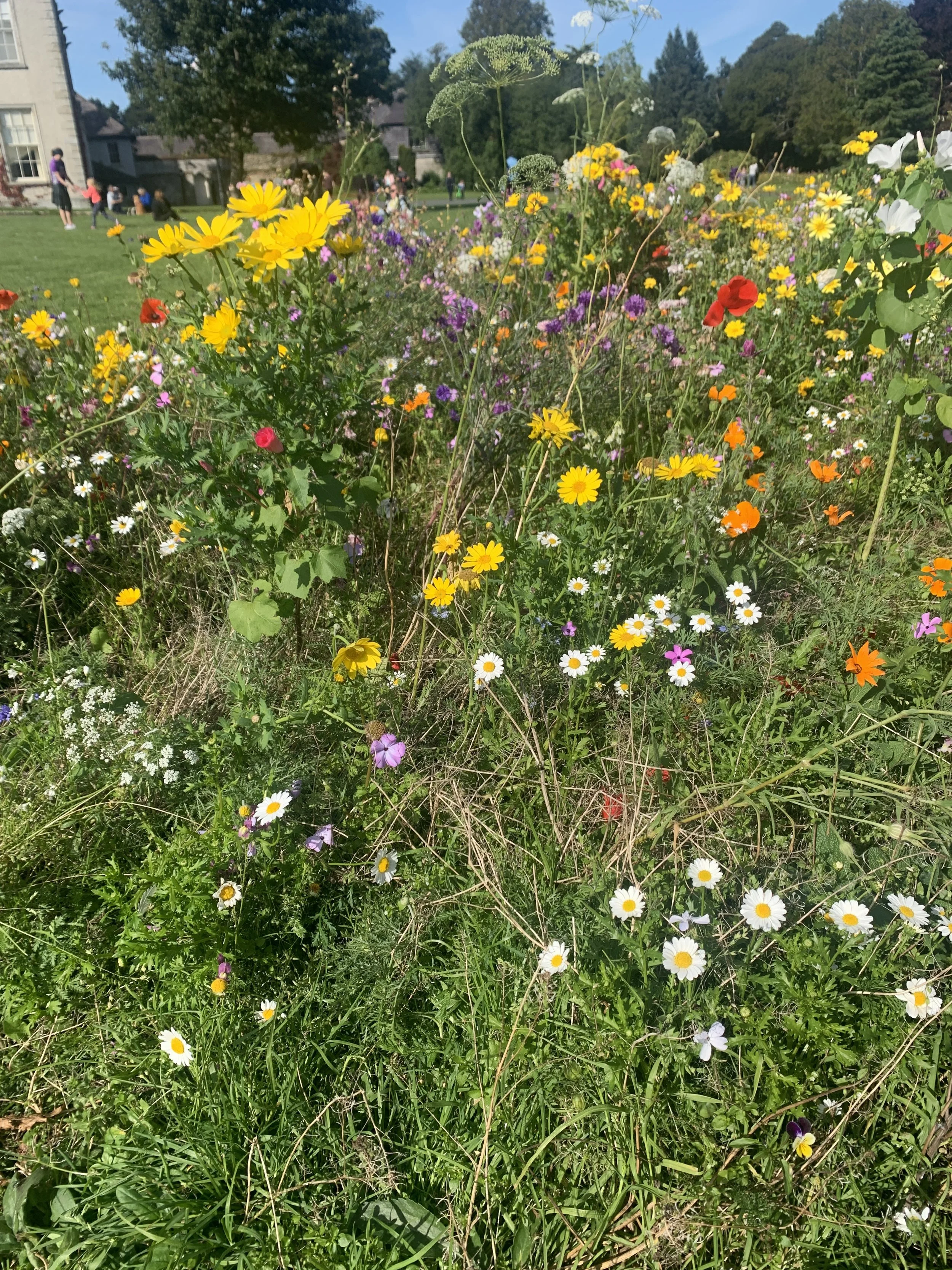 When the last line of the movie stays with you. 