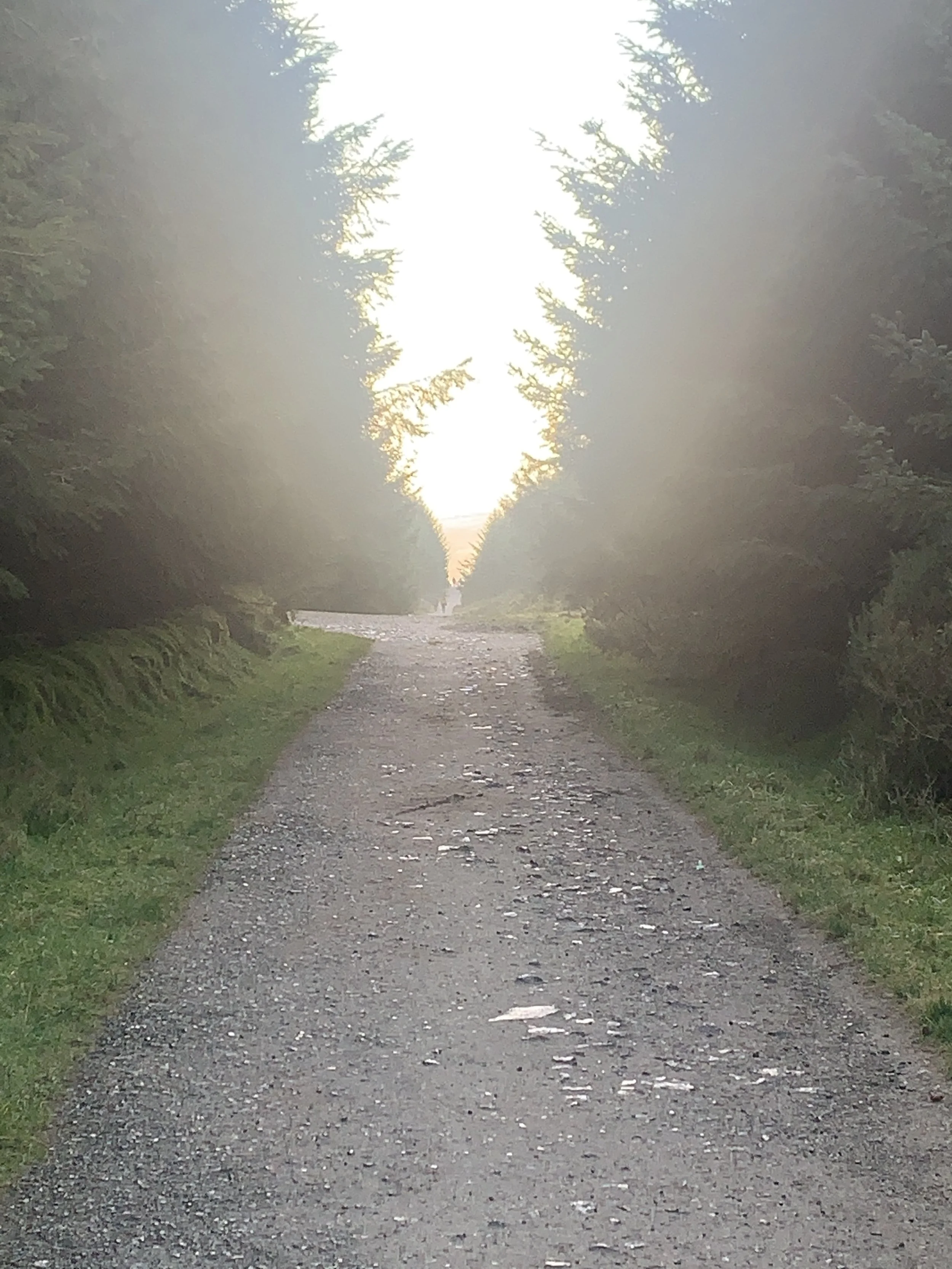 Setting Intentions ... half the battle! 