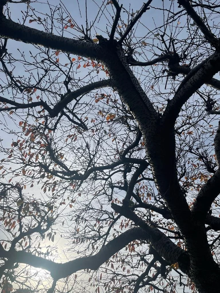 What is a Silent Retreat? 