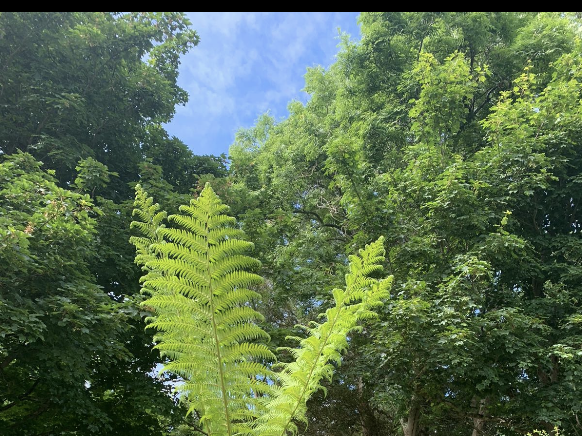 Something big for you in 2023?...