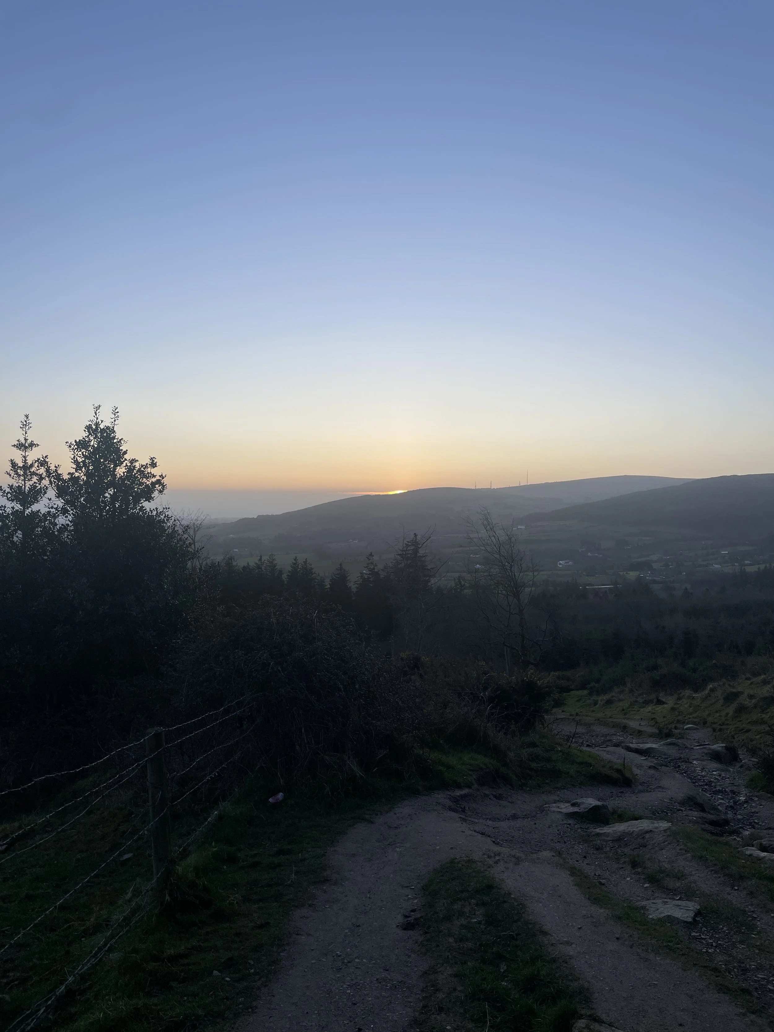 Your one wild and precious life. 