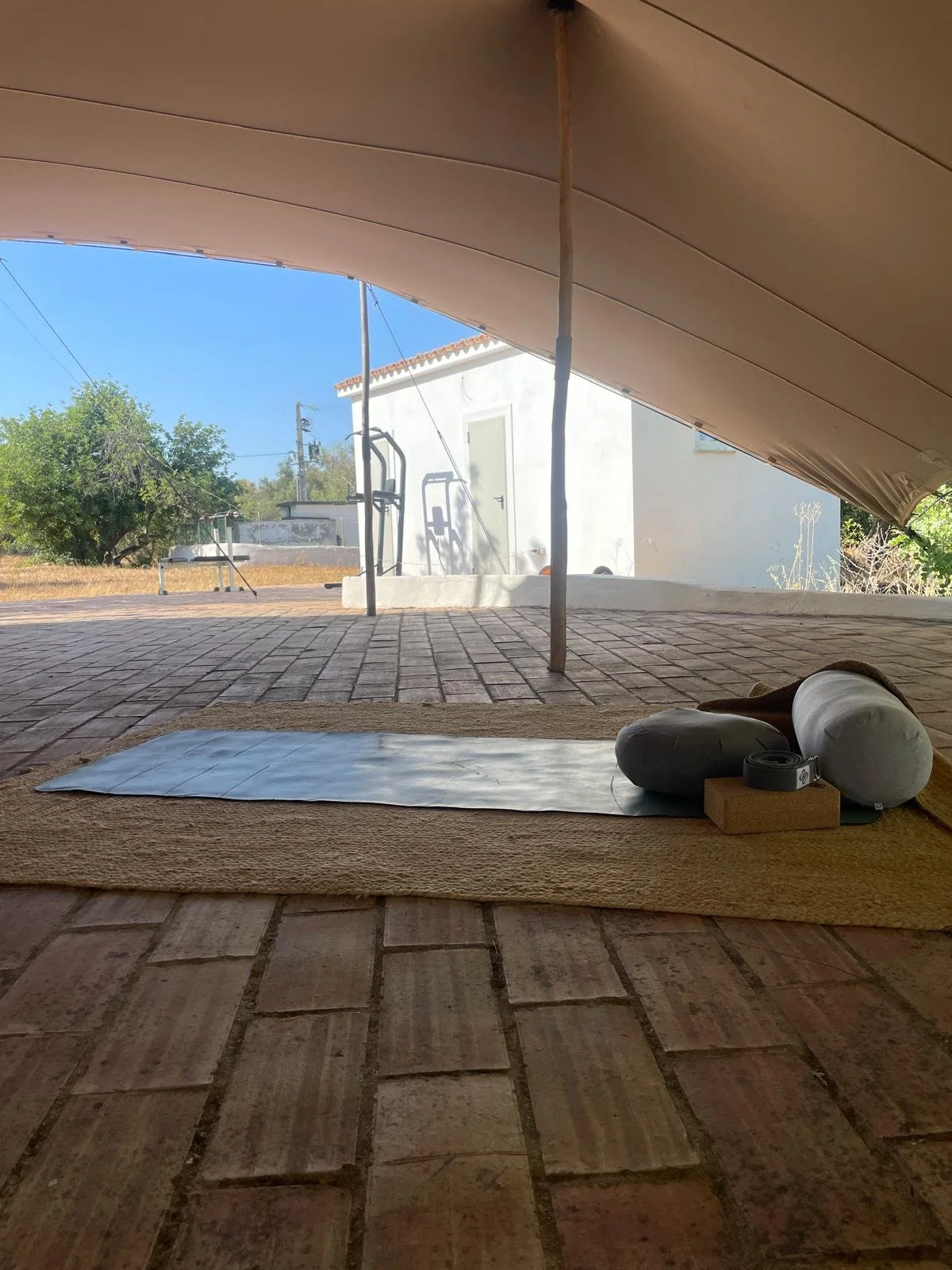 Something brand new. 