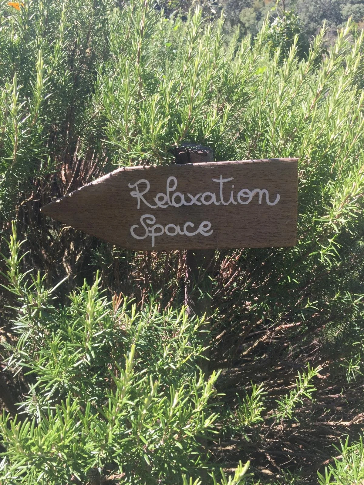 Burren Yoga Centre Retreat with Sylvia ~ 27 Feb - 1st March