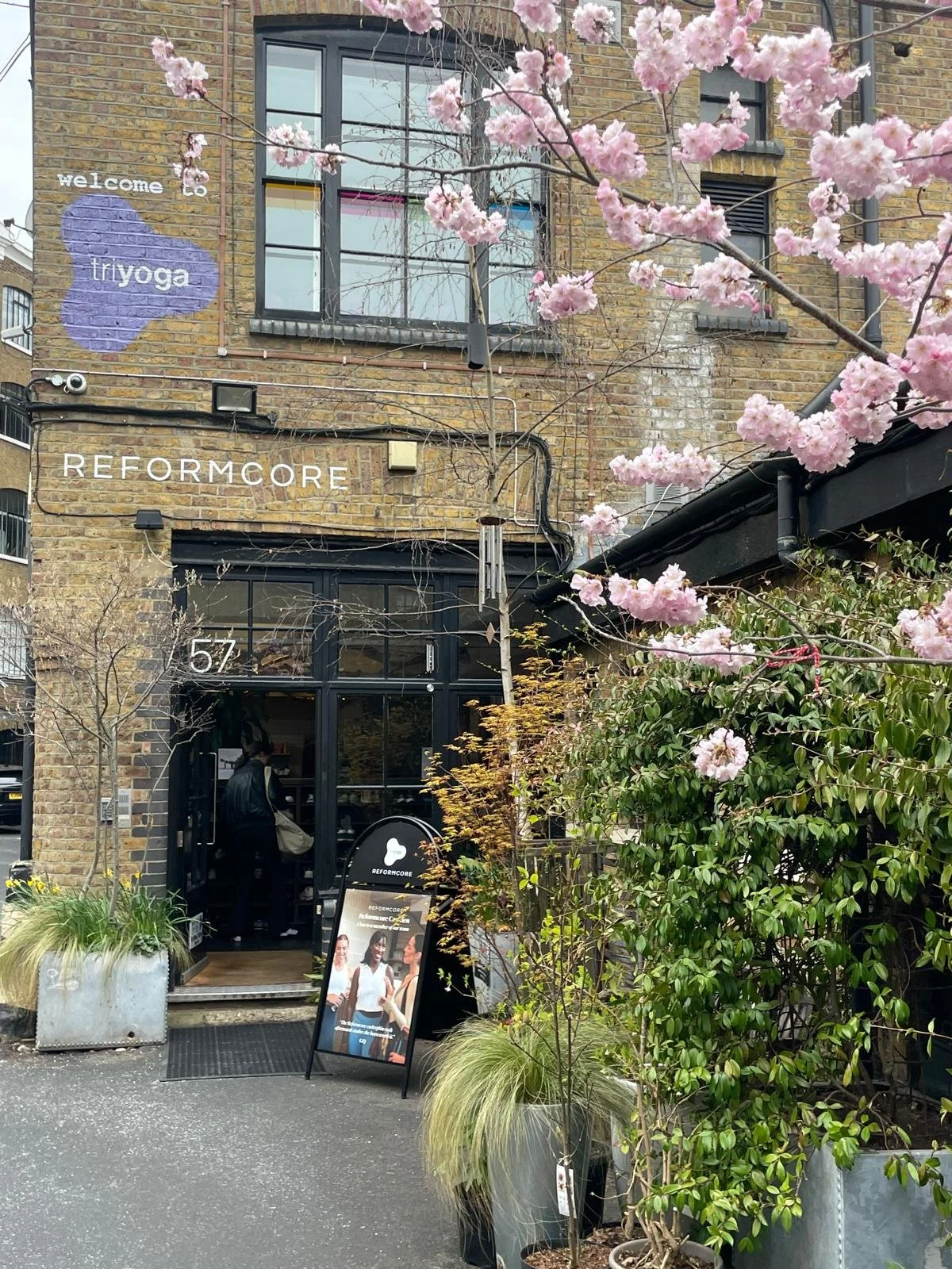 Alive and Thriving: let yoga be your travel guide.