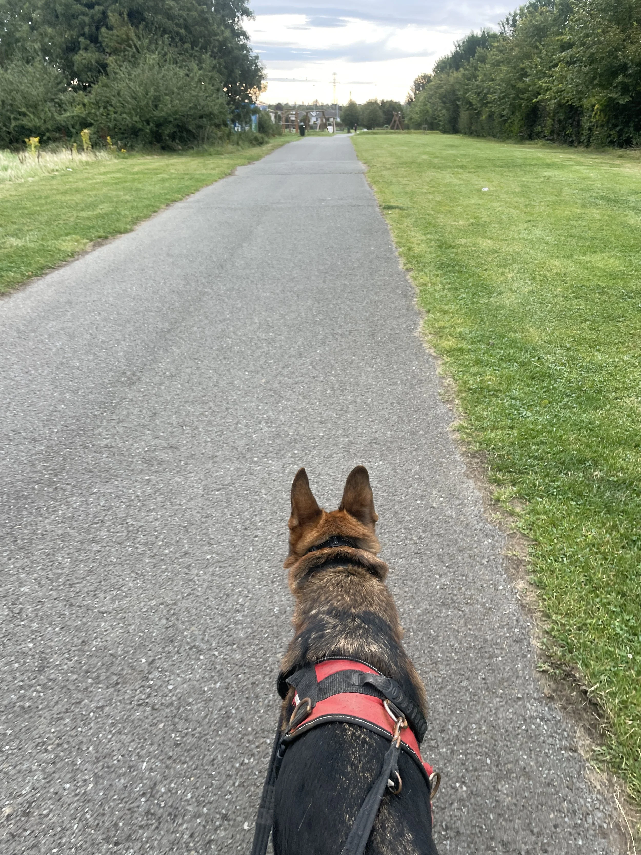 Step in September ~ book your mat space! 