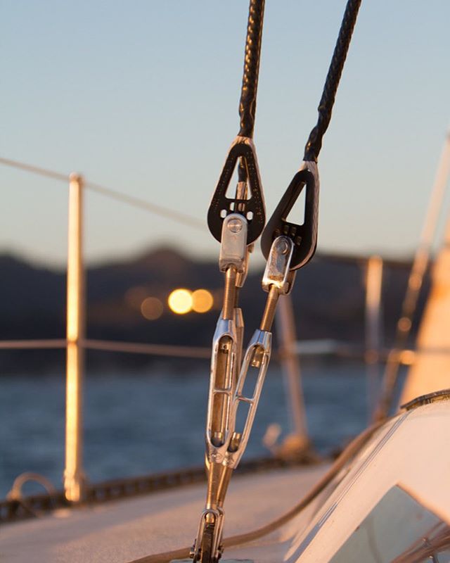Photo courtesy Colligo Marine