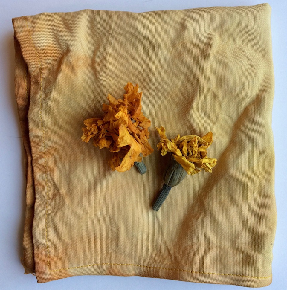 silkmarigold copy.jpg