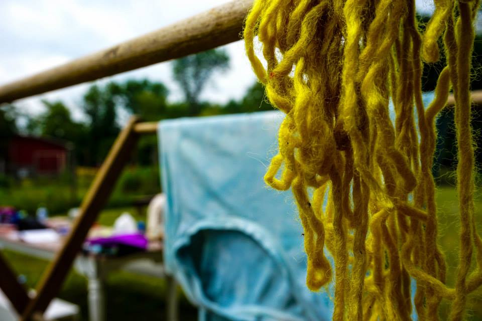 woadandmarigolddrying 2.jpg