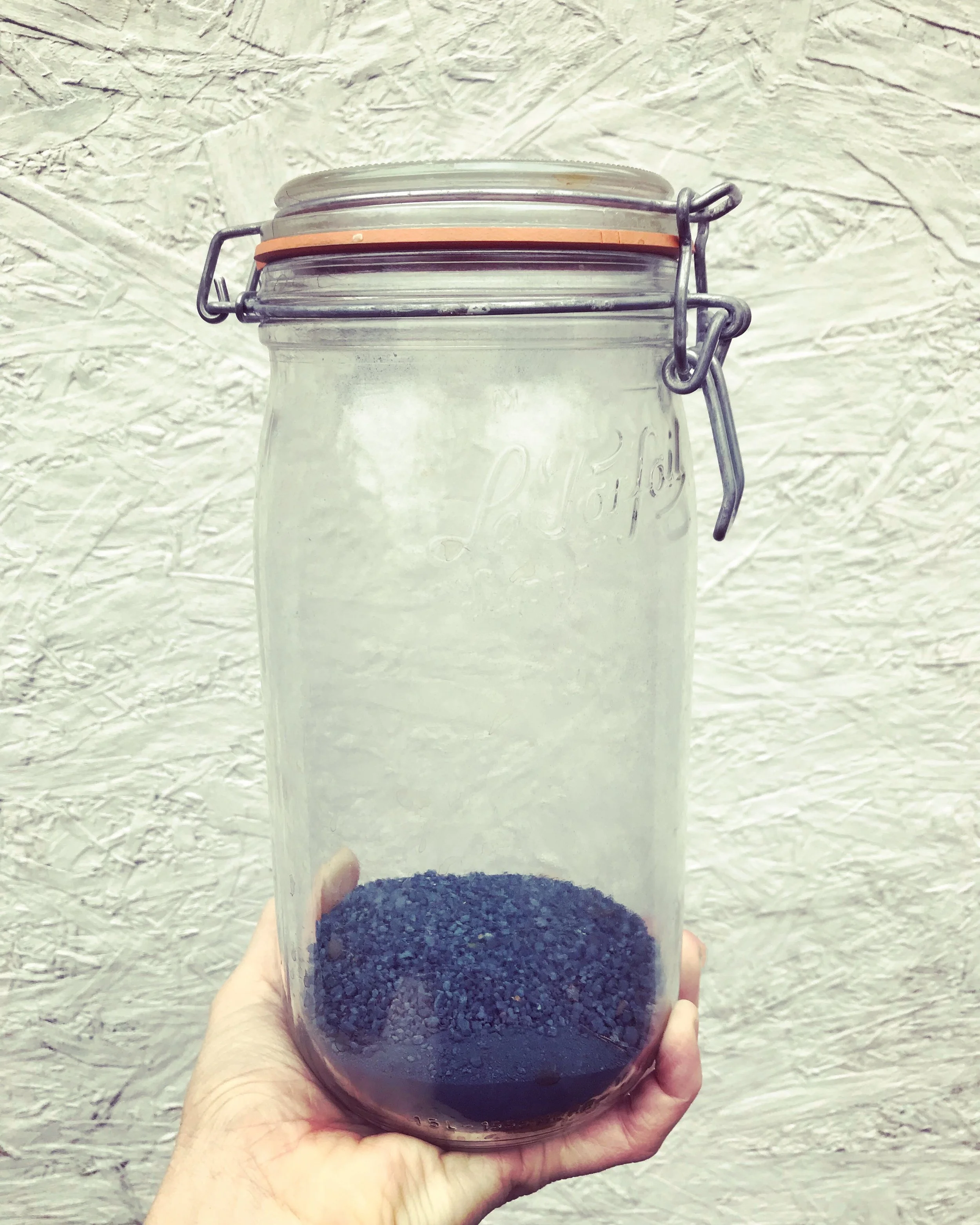 Indigo harvest! Now shelf stable pigment.