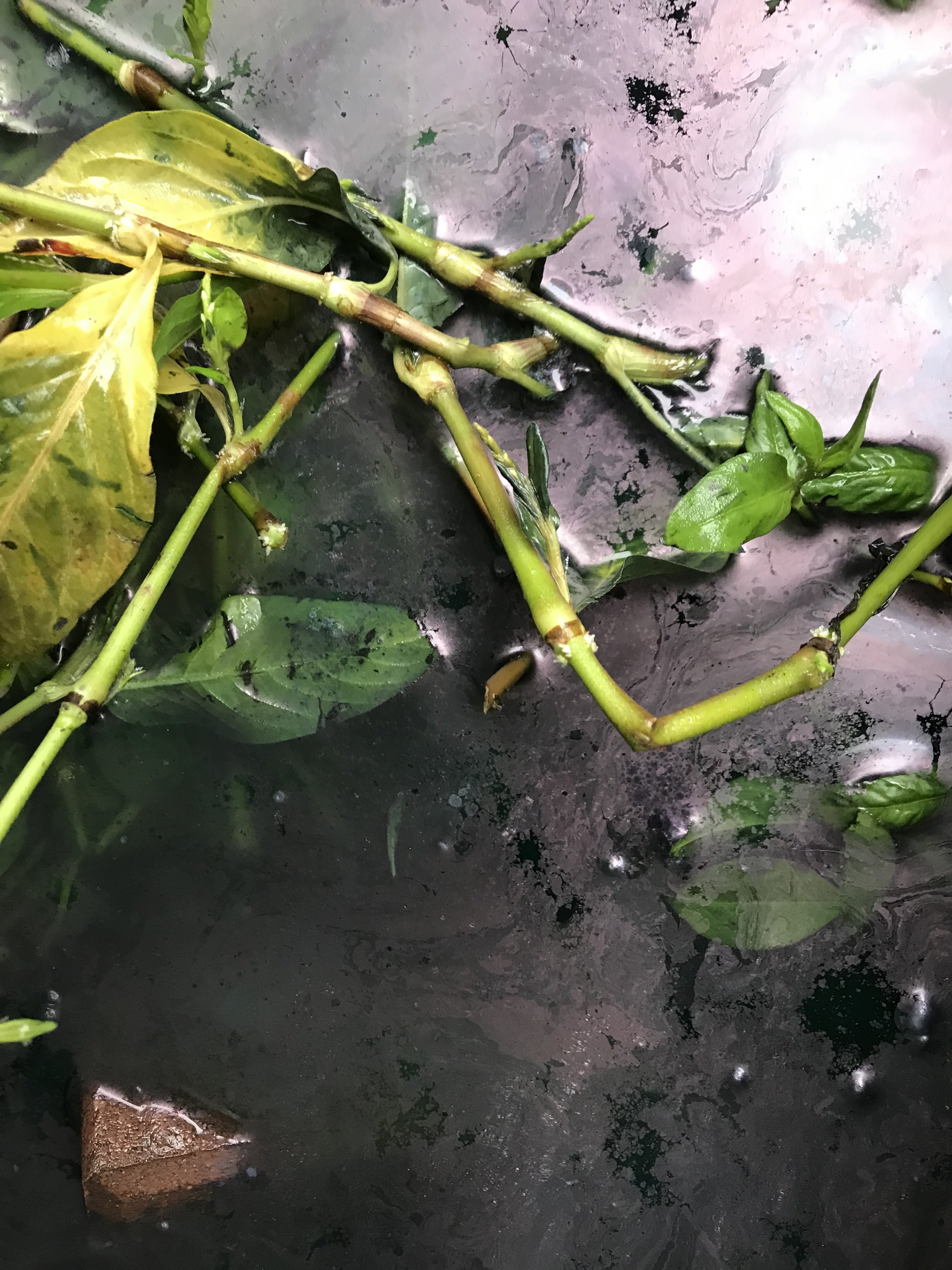 The liquid will look almost neon in color and smell very floral. This means it is ready for the next step.