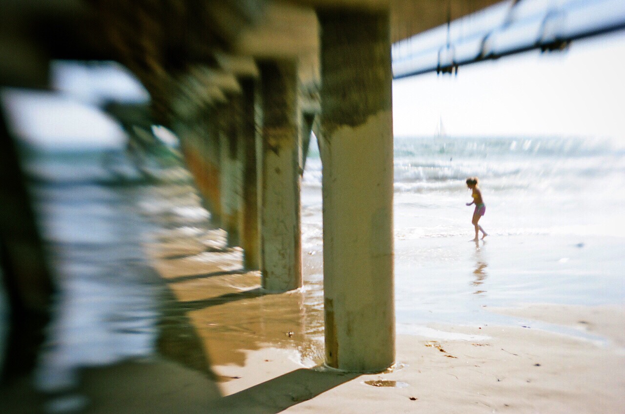 Venice Pier
