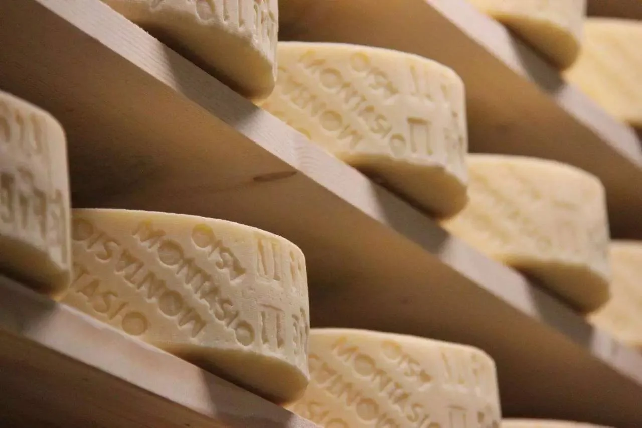 Imported Cheeses