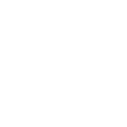 cheese.png