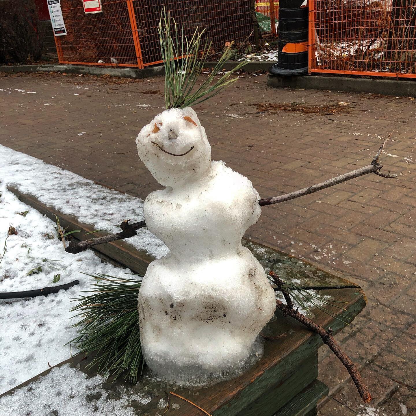 COVID walks ⛄️ 
.
.
.
#snowman #yyz #toronto #covidwalks