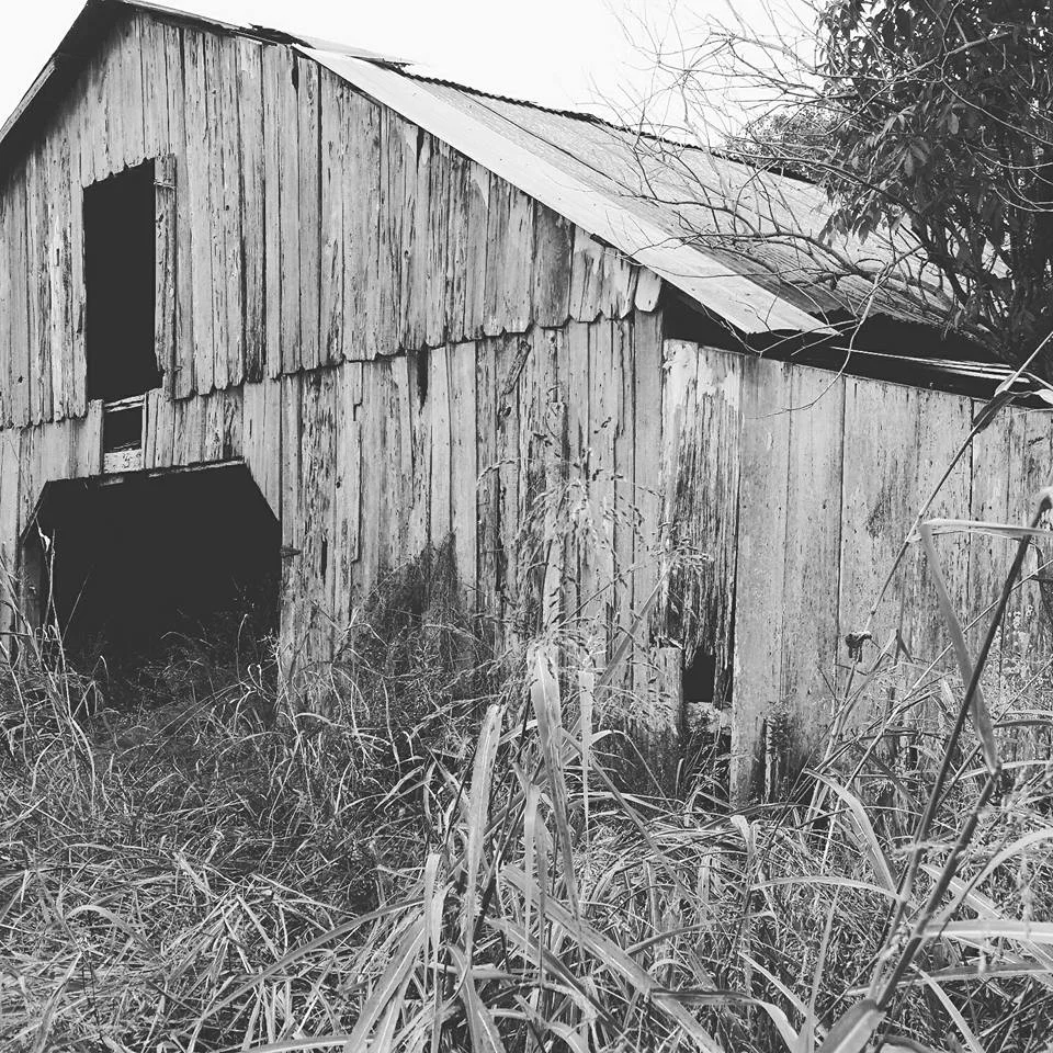 Barn Black and white.jpg