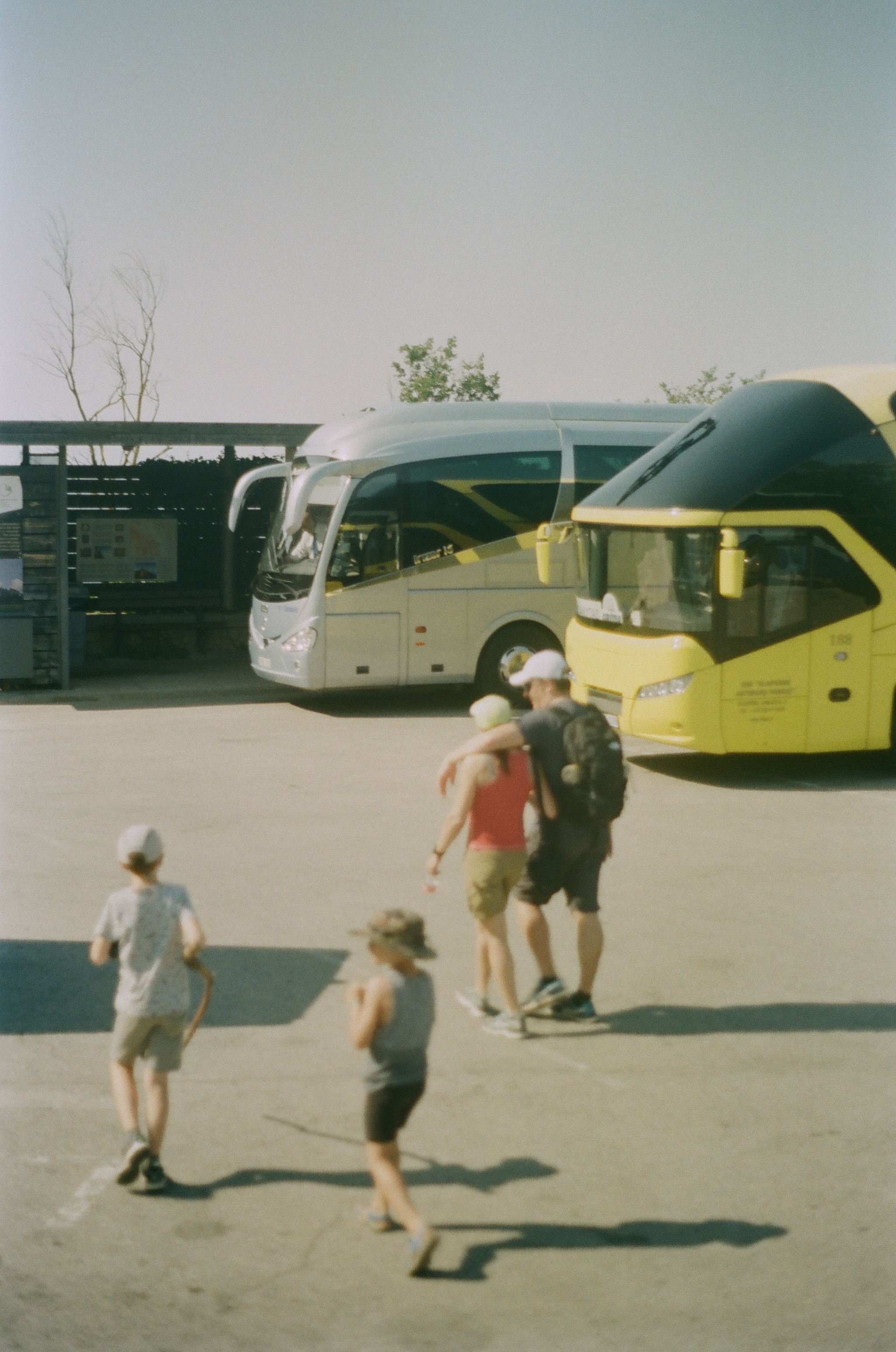 255779_0003.jpg