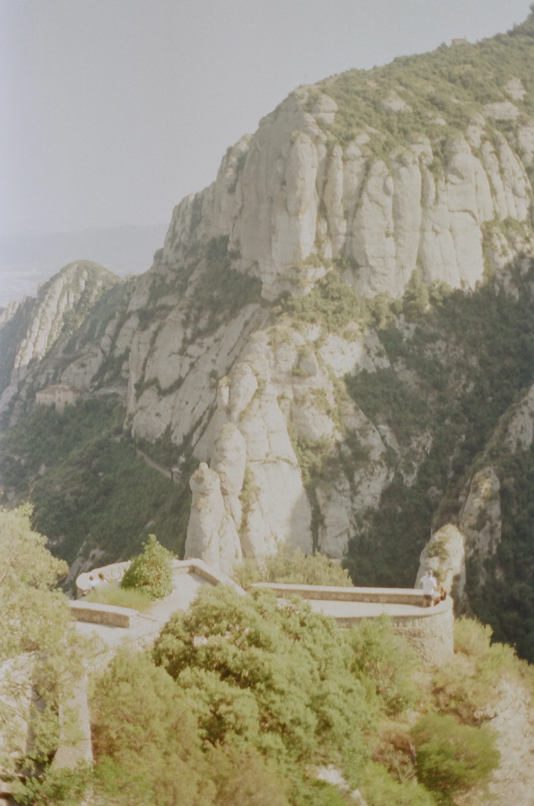 255779_0004.jpg