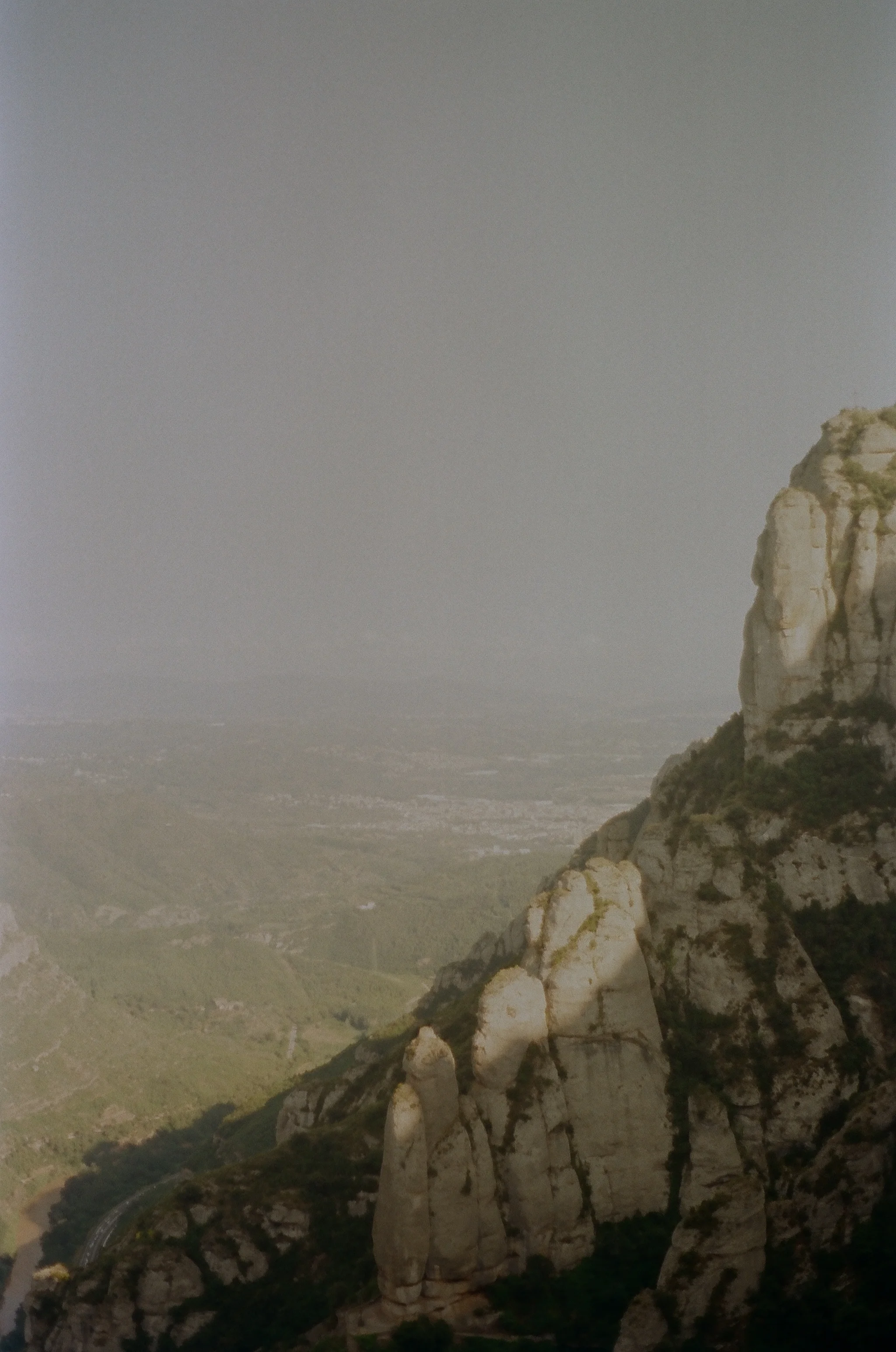 255779_0007.jpg