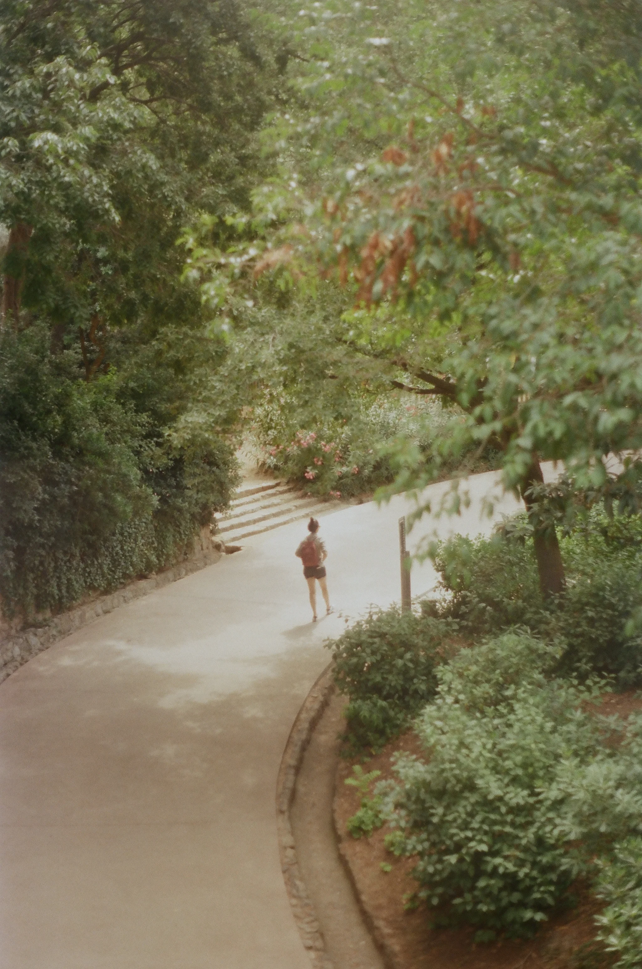255779_0010.jpg