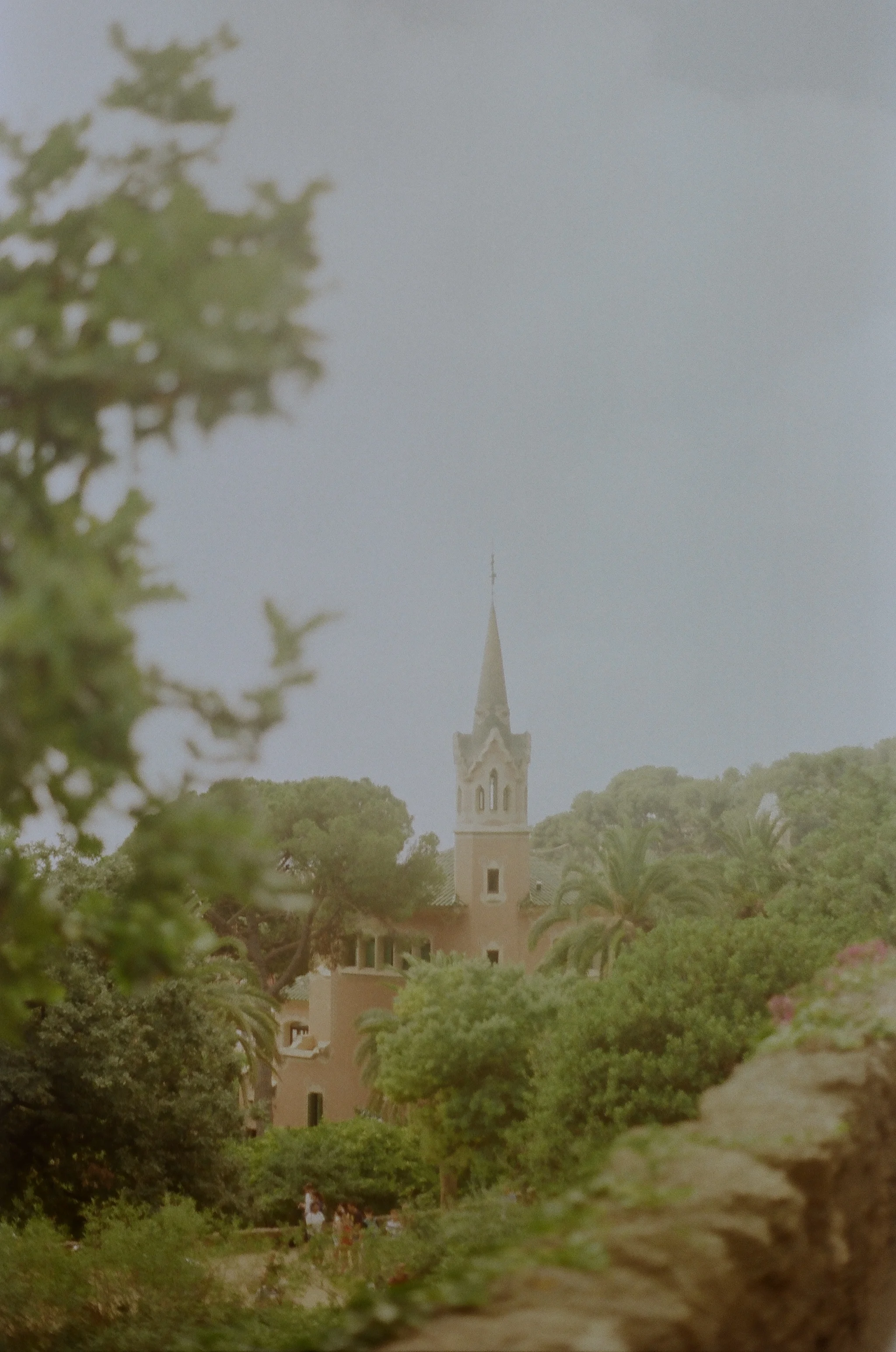 255779_0012.jpg