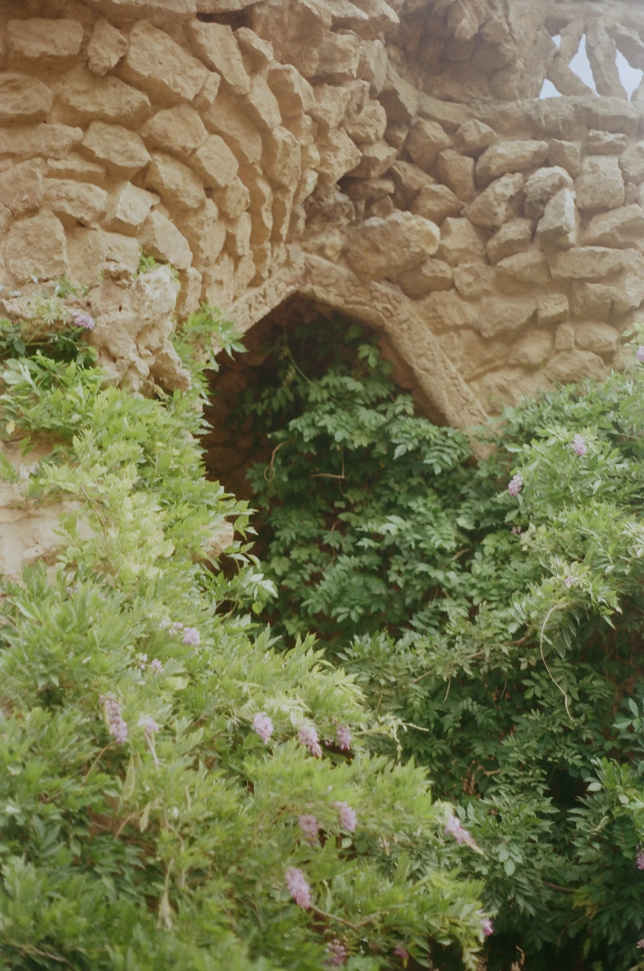 255779_0013.jpg