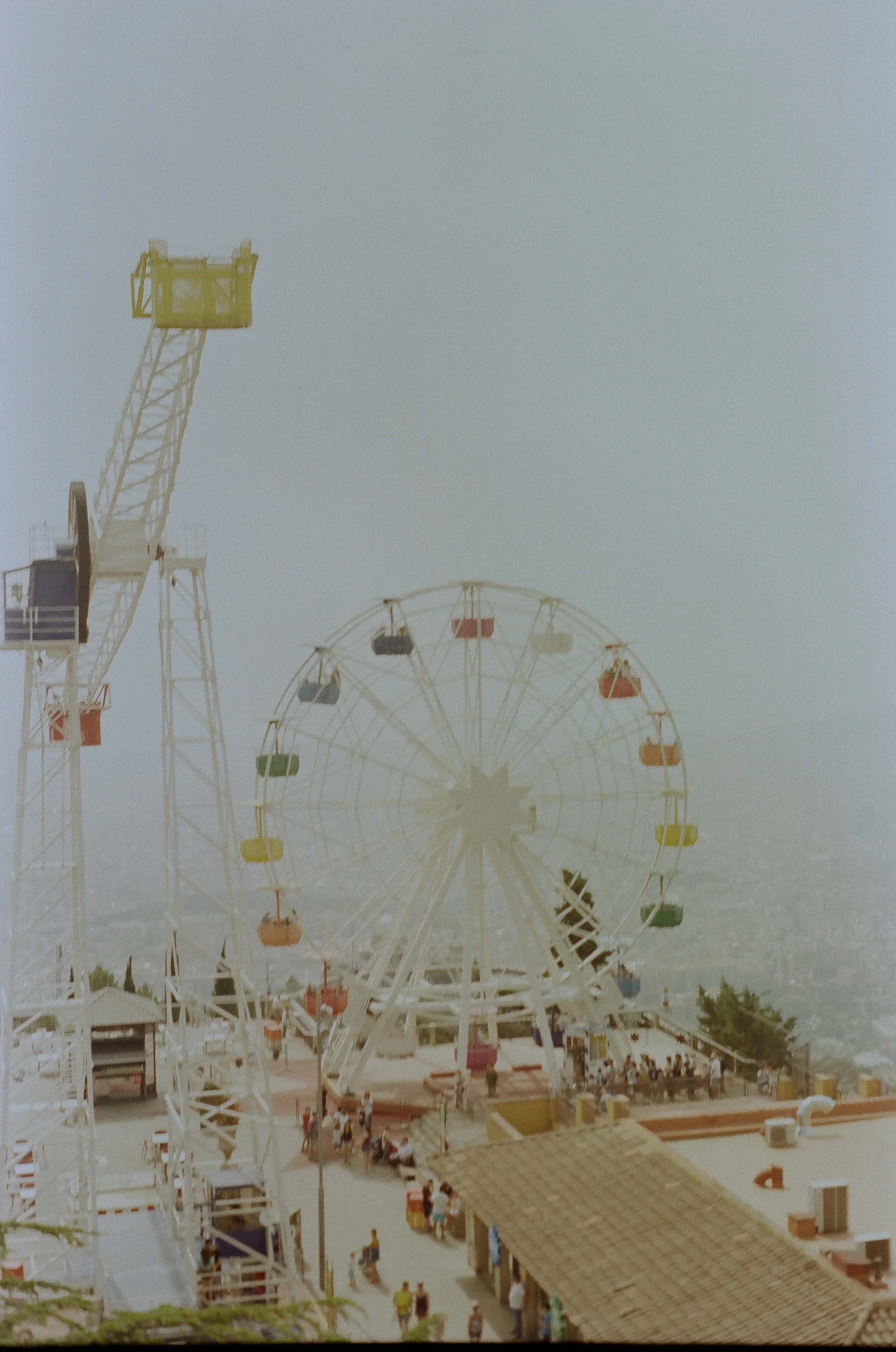 255782_0003.jpg
