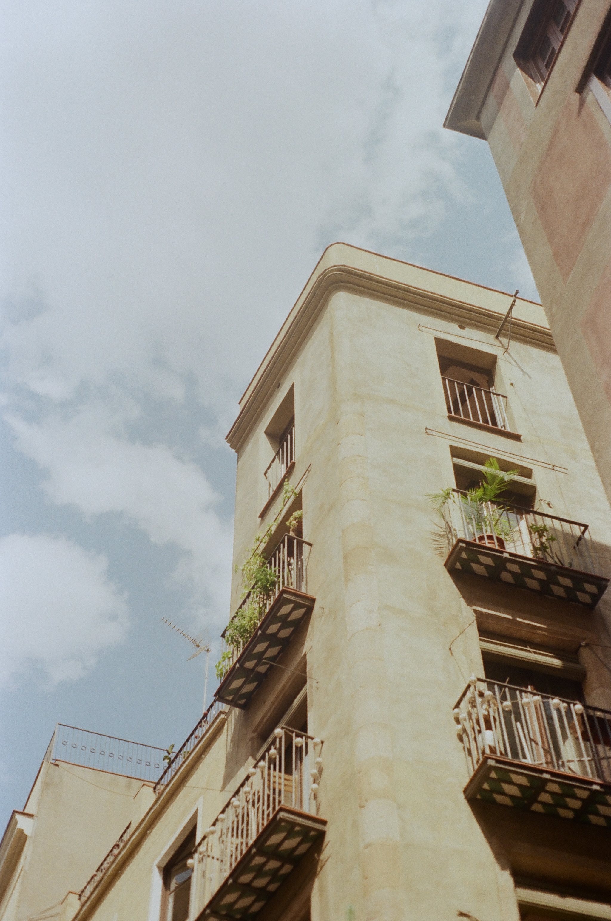255782_0014.jpg