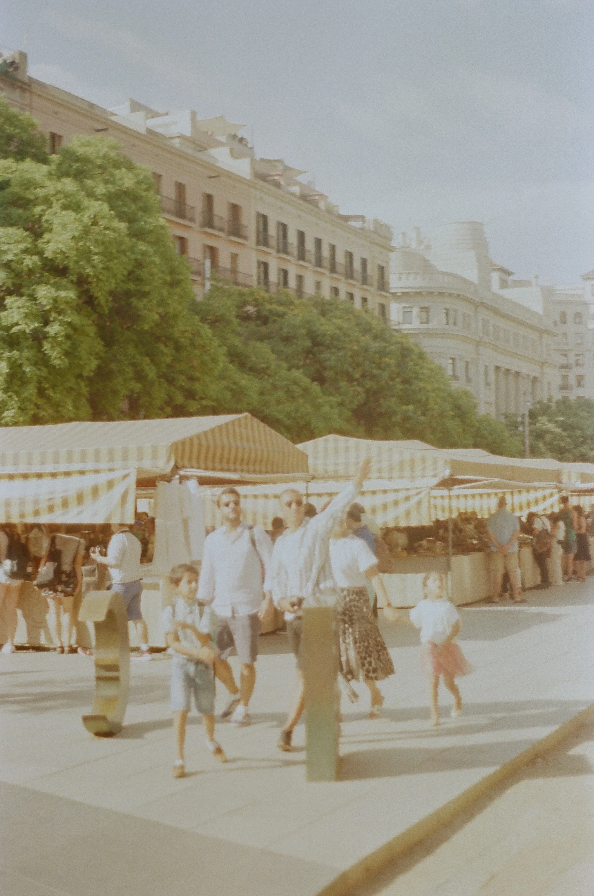255782_0023.jpg