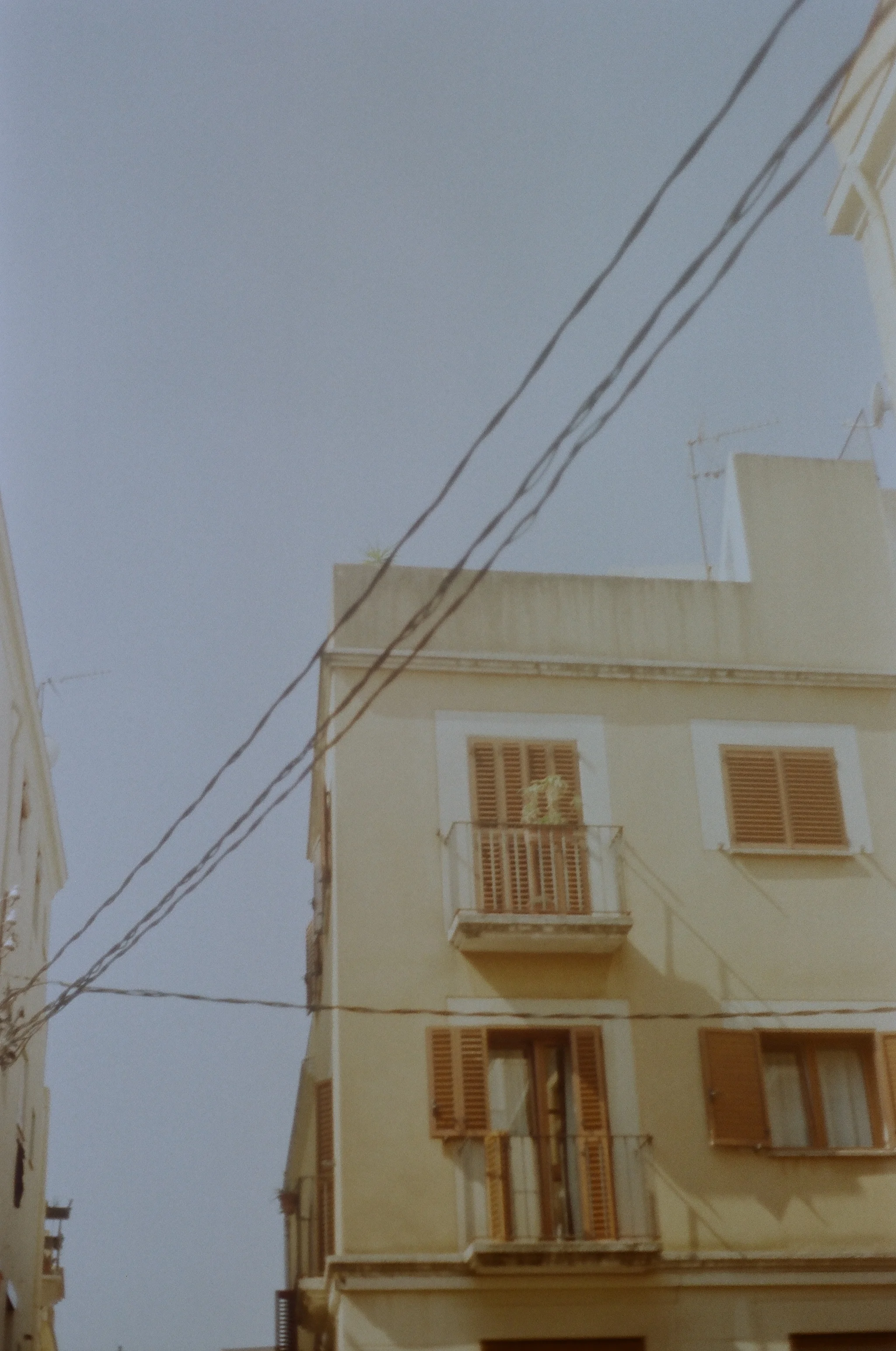 255783_0011.jpg