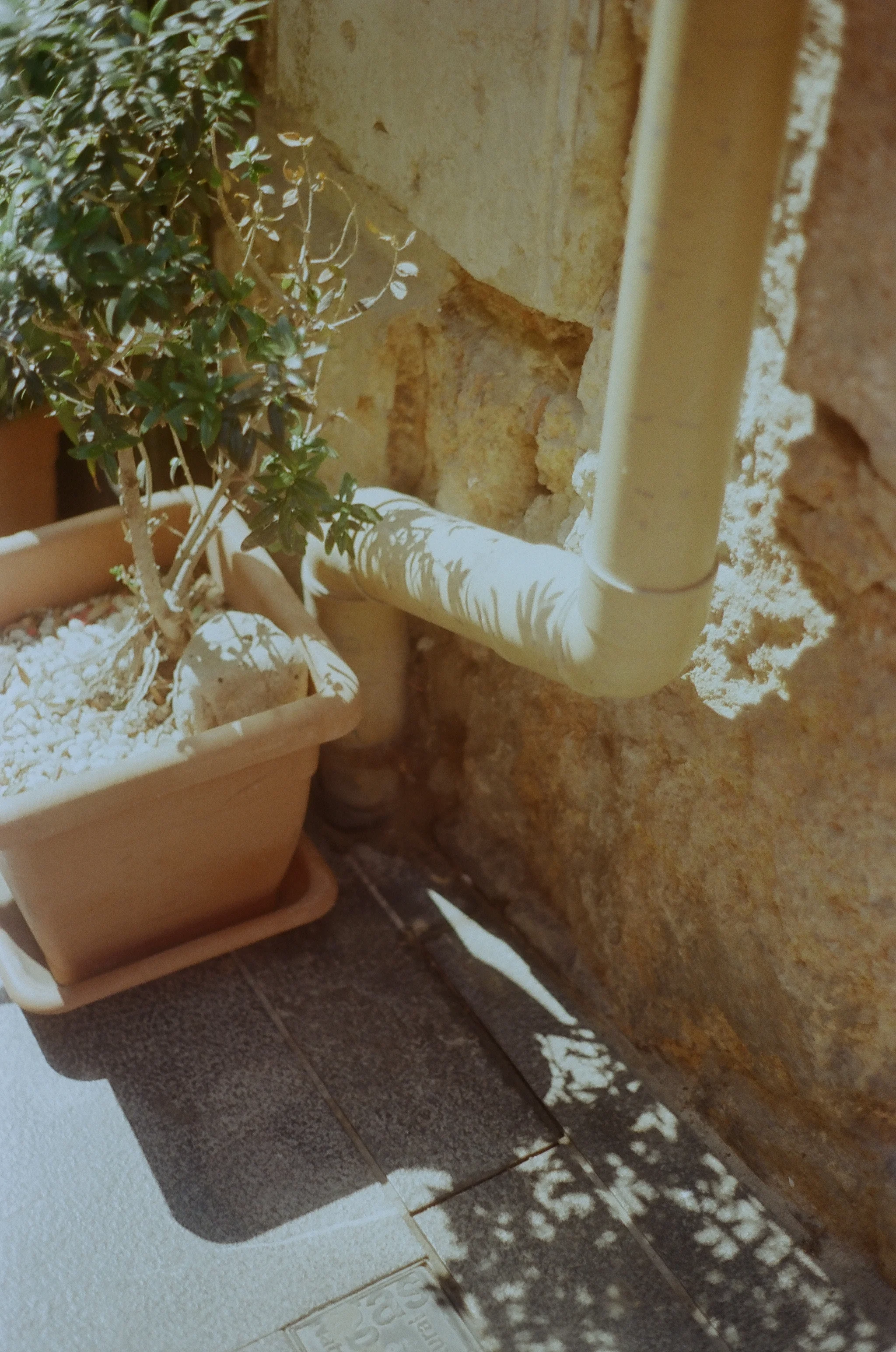 255783_0012.jpg