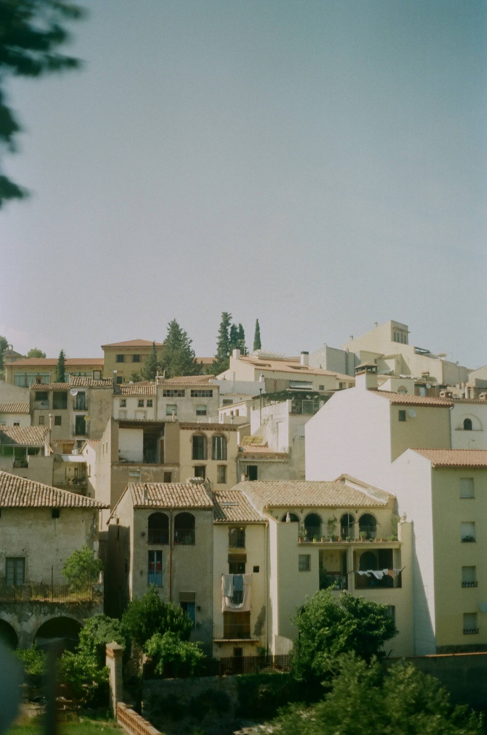 255783_0033.jpg
