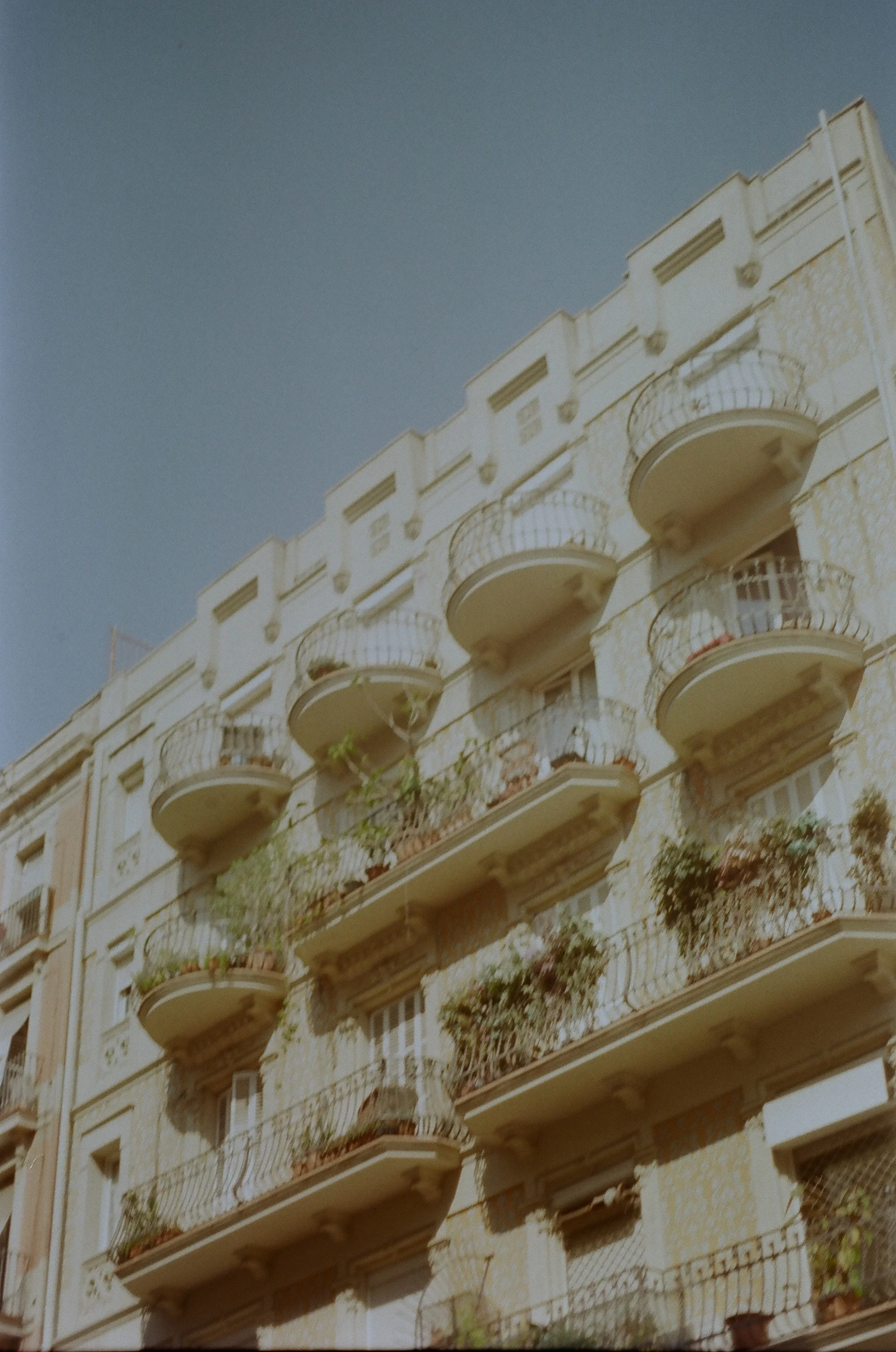 255784_0026.jpg