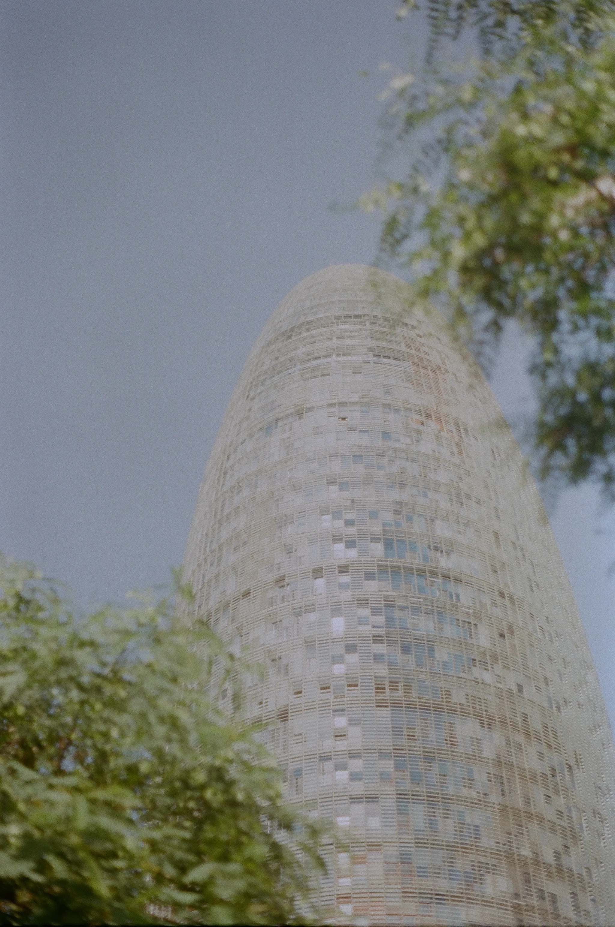 255787_0016.jpg